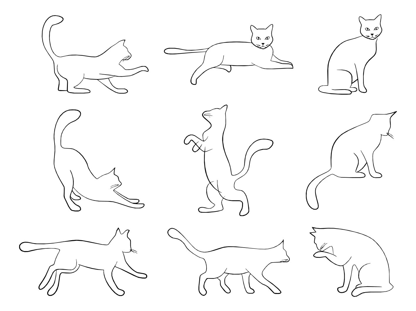 Котики №17642. Раскраски животные (весь животный мир). Милые котики.