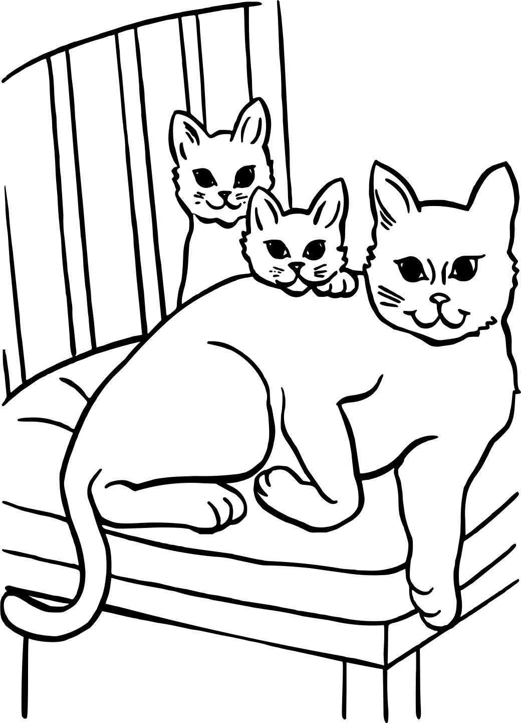 Раскраска "Котики №17736. Раскраски животные (весь животный мир). Милые котики.