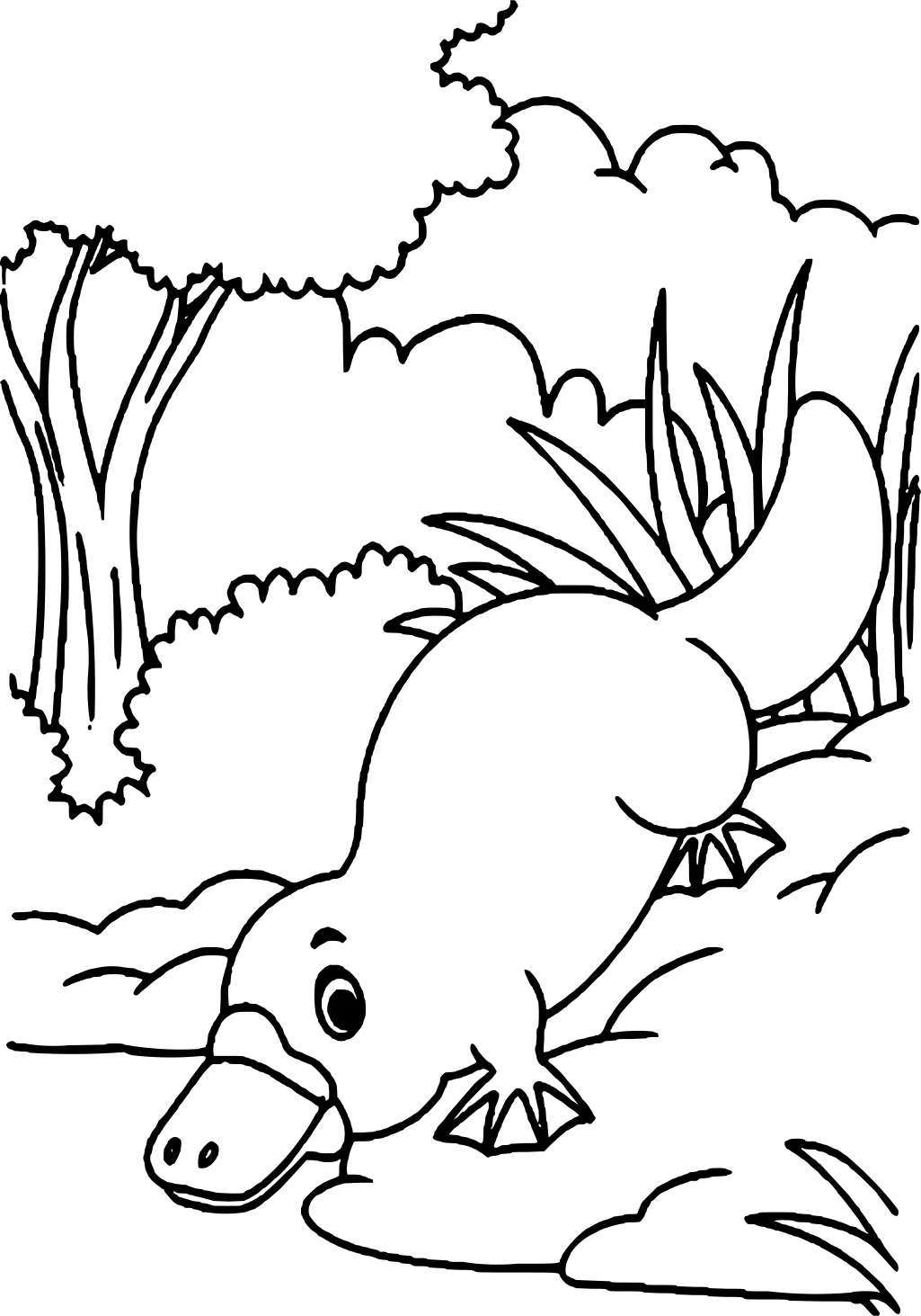 Прелестный мультяшный утконос от Platypus №17862. Раскраски животные (весь животный мир). Утконос.