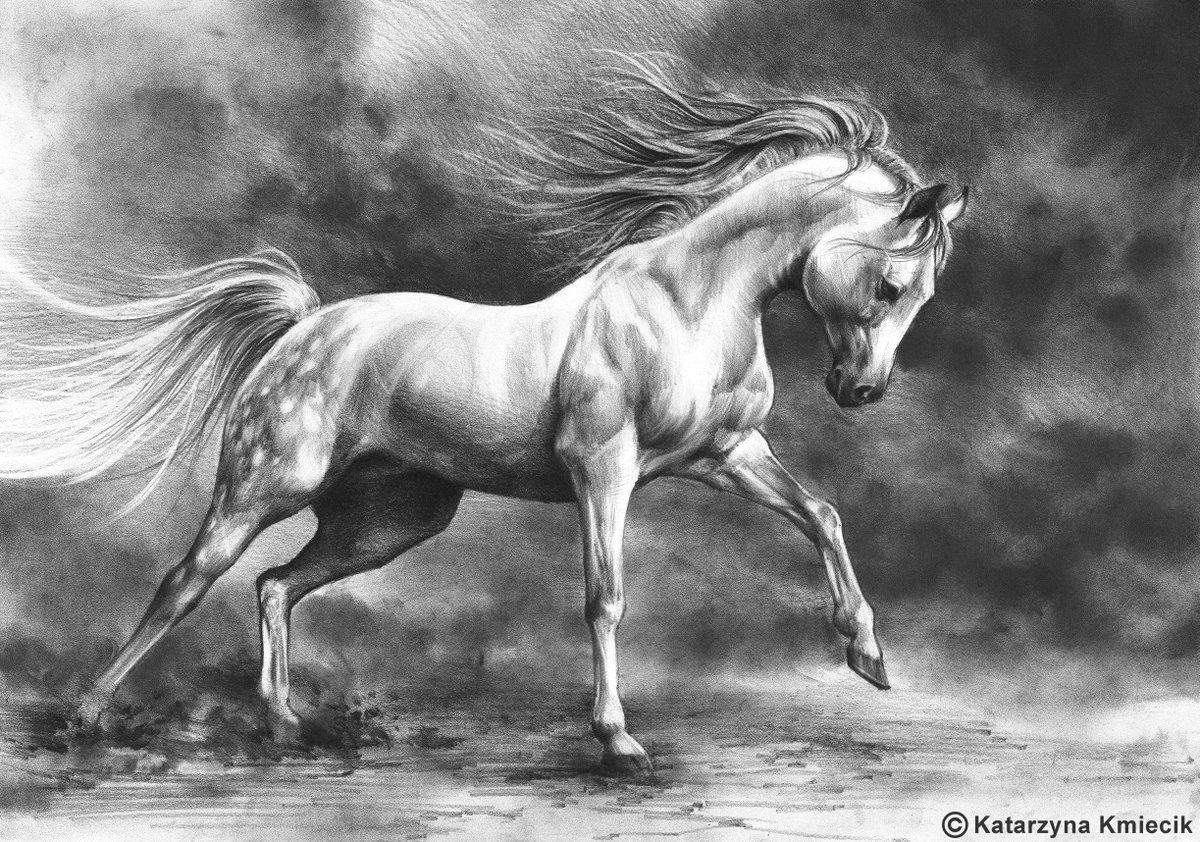 Рисунок лошадь карандашом №1171. Рисование. Рисунки карандашом для срисовки, Животные.