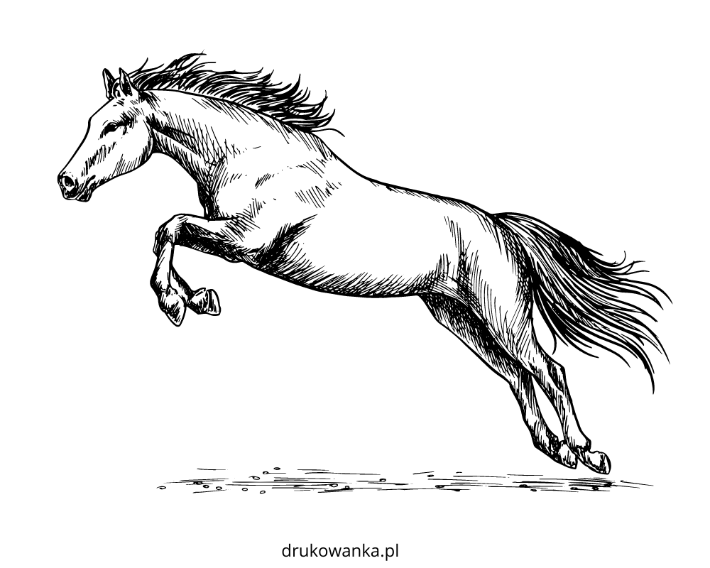 Рисунок лошадь в прыжке для срисовки №1173. Рисование. Рисунки карандашом для срисовки, Животные.