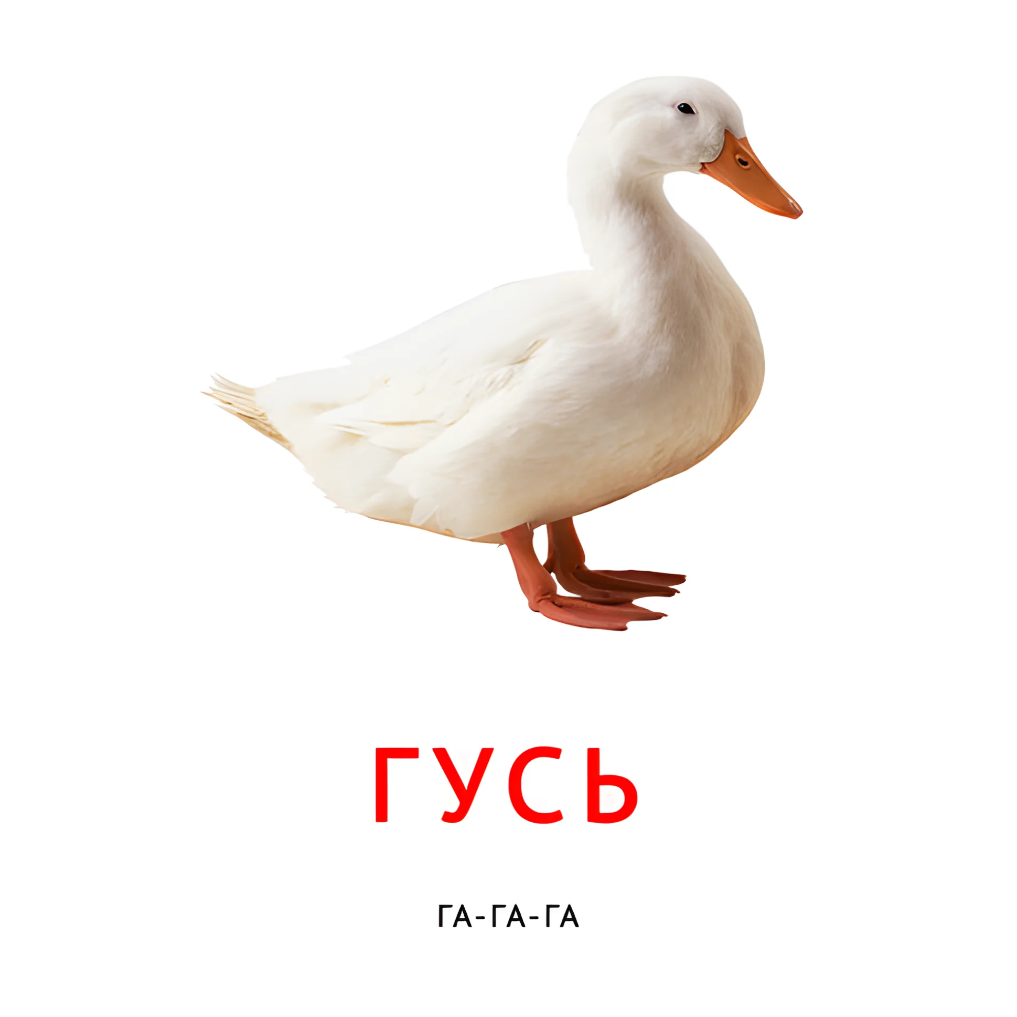 Гусь №2096. Карточки Домана на русском языке. Что говорят животные.