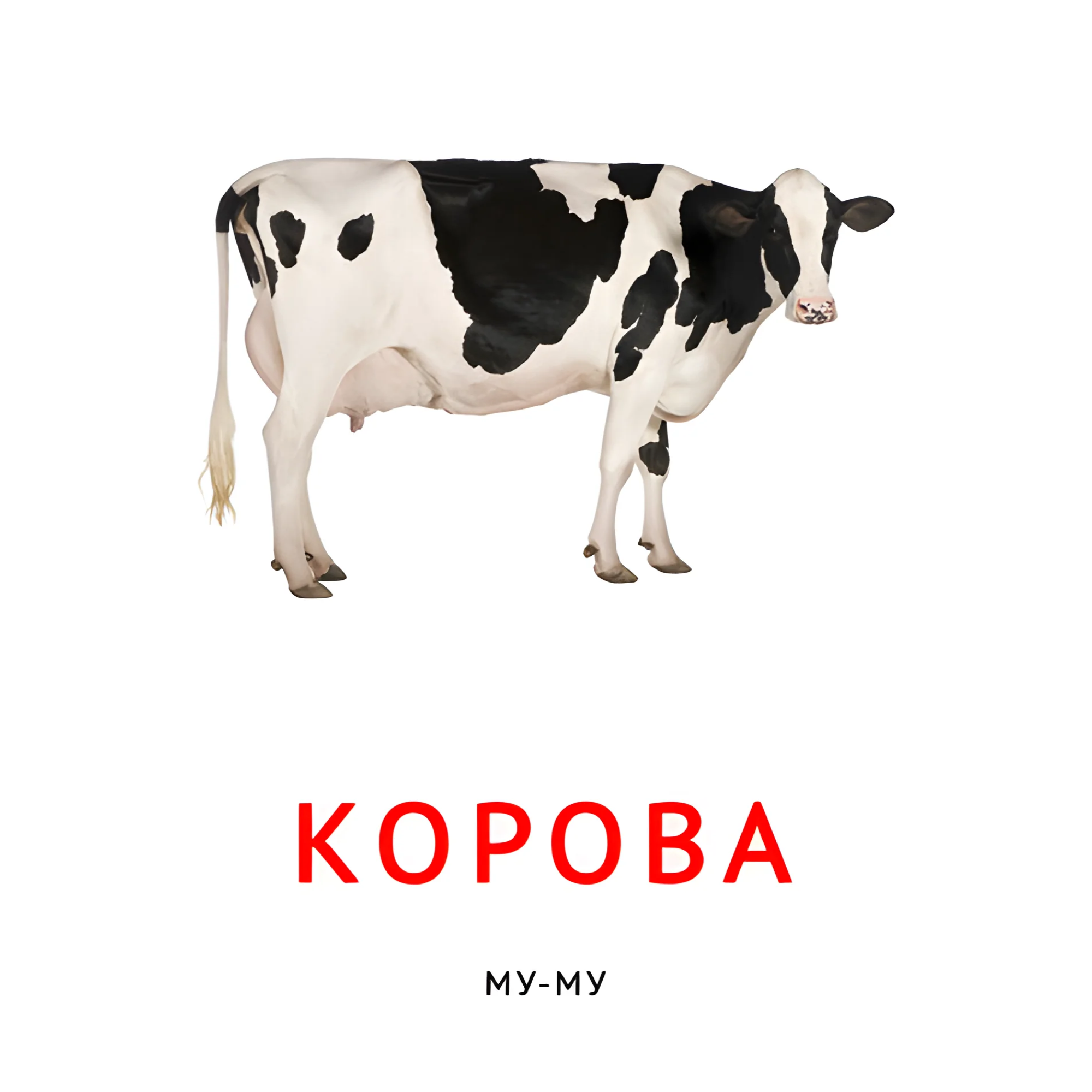 Корова №2094. Карточки Домана на русском языке. Что говорят животные.