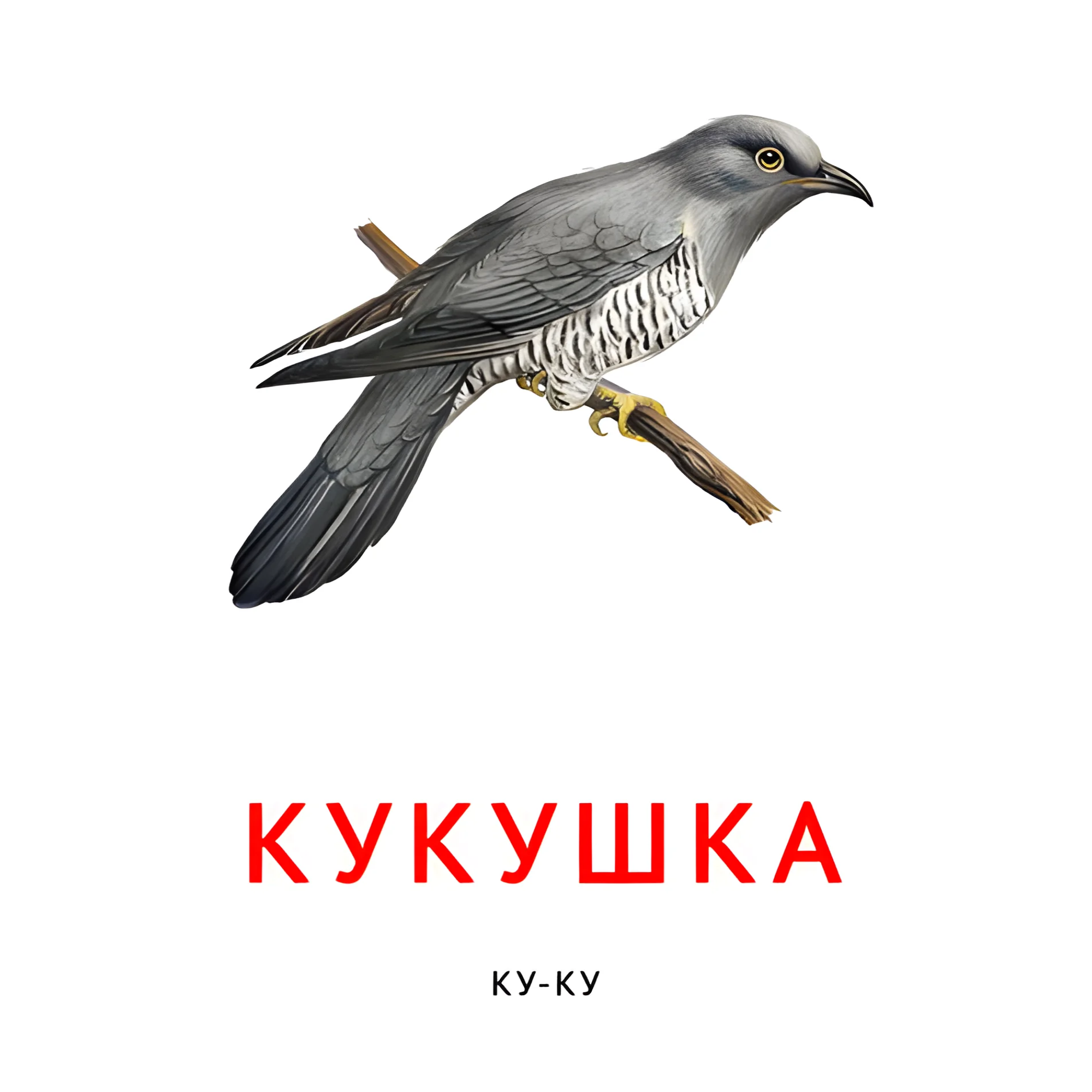 Кукушка №2099. Карточки Домана на русском языке. Что говорят животные.