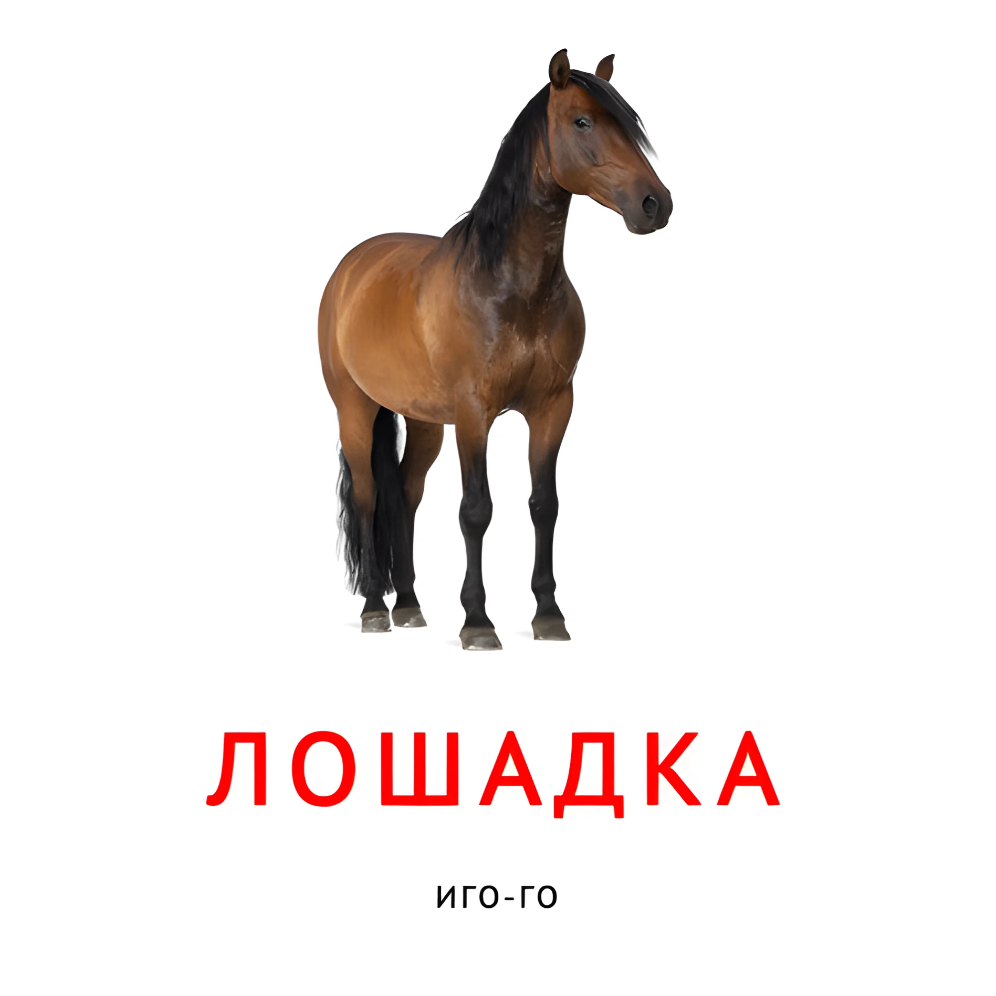 Лошадка №2089. Карточки Домана на русском языке. Что говорят животные.