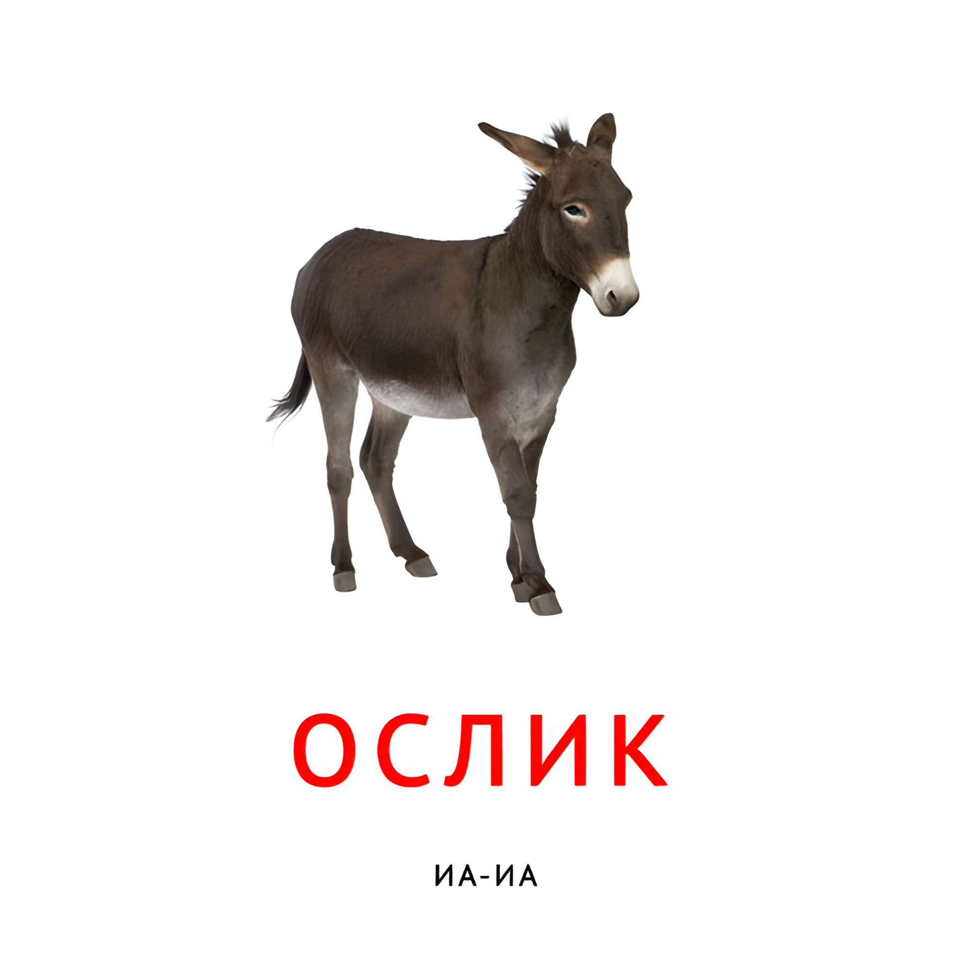 Ослик №2103. Карточки Домана на русском языке. Что говорят животные.