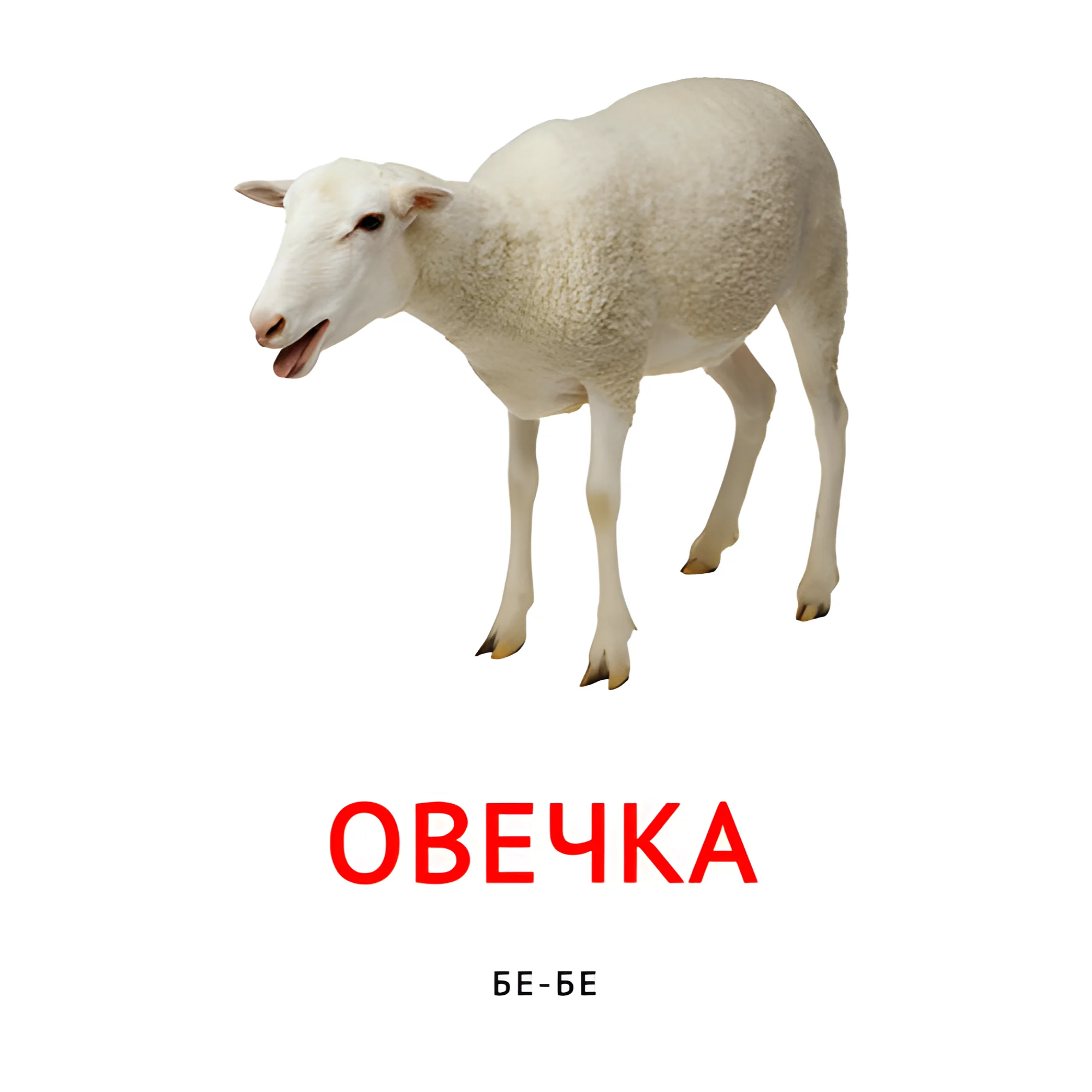 Овечка №2104. Карточки Домана на русском языке. Что говорят животные.
