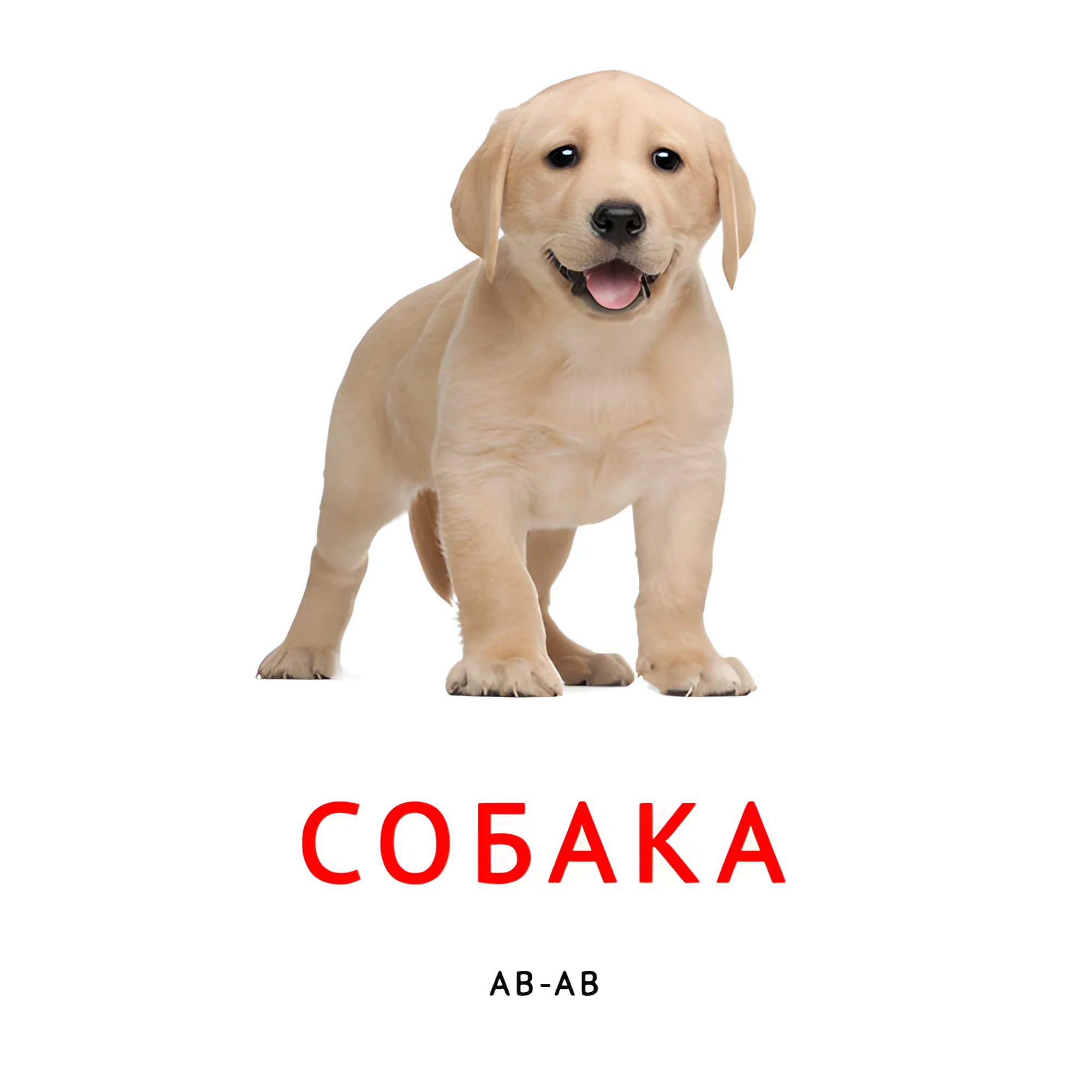 Собака №2101. Карточки Домана на русском языке. Что говорят животные.