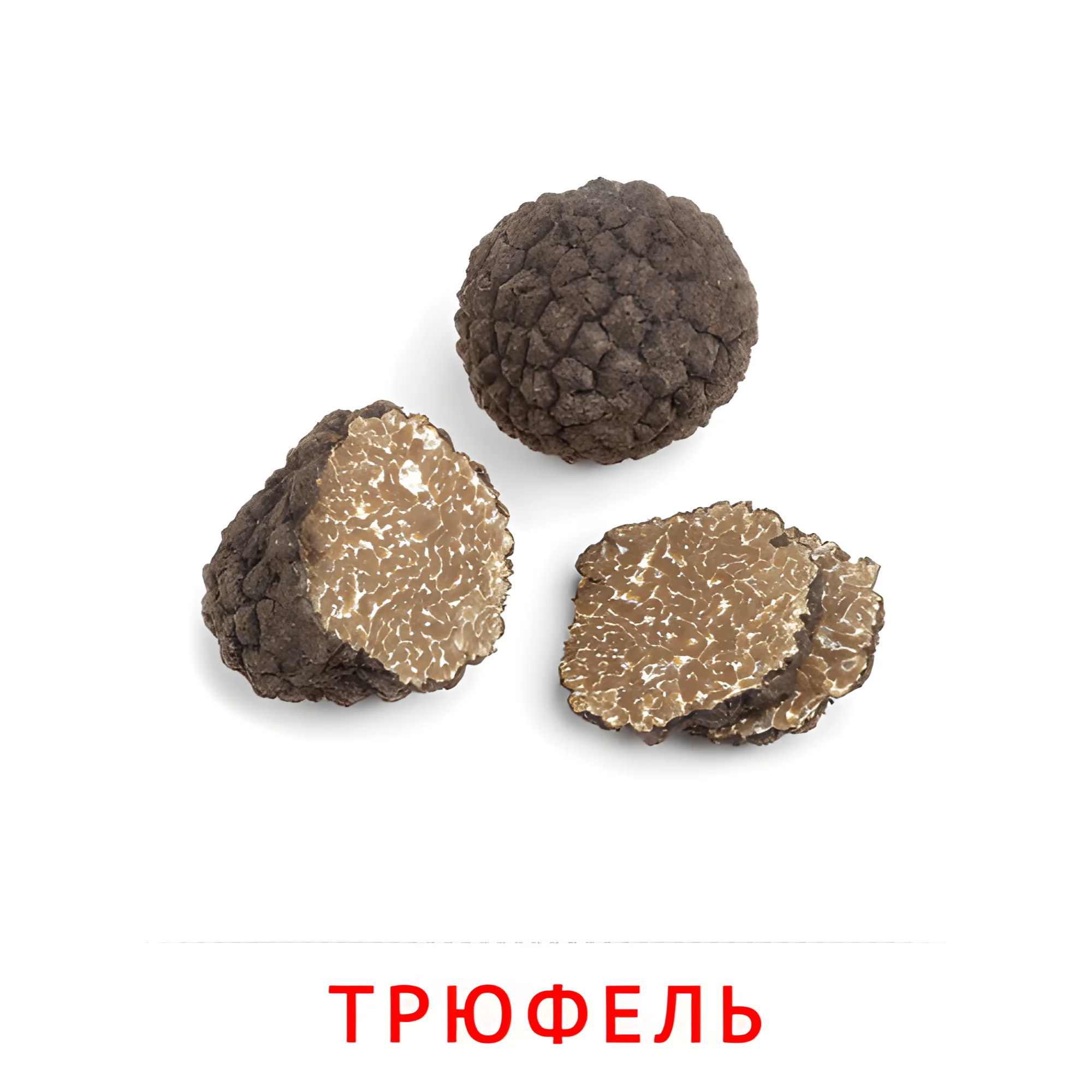 Трюфель №2257. Карточки Домана на русском языке. Грибы.