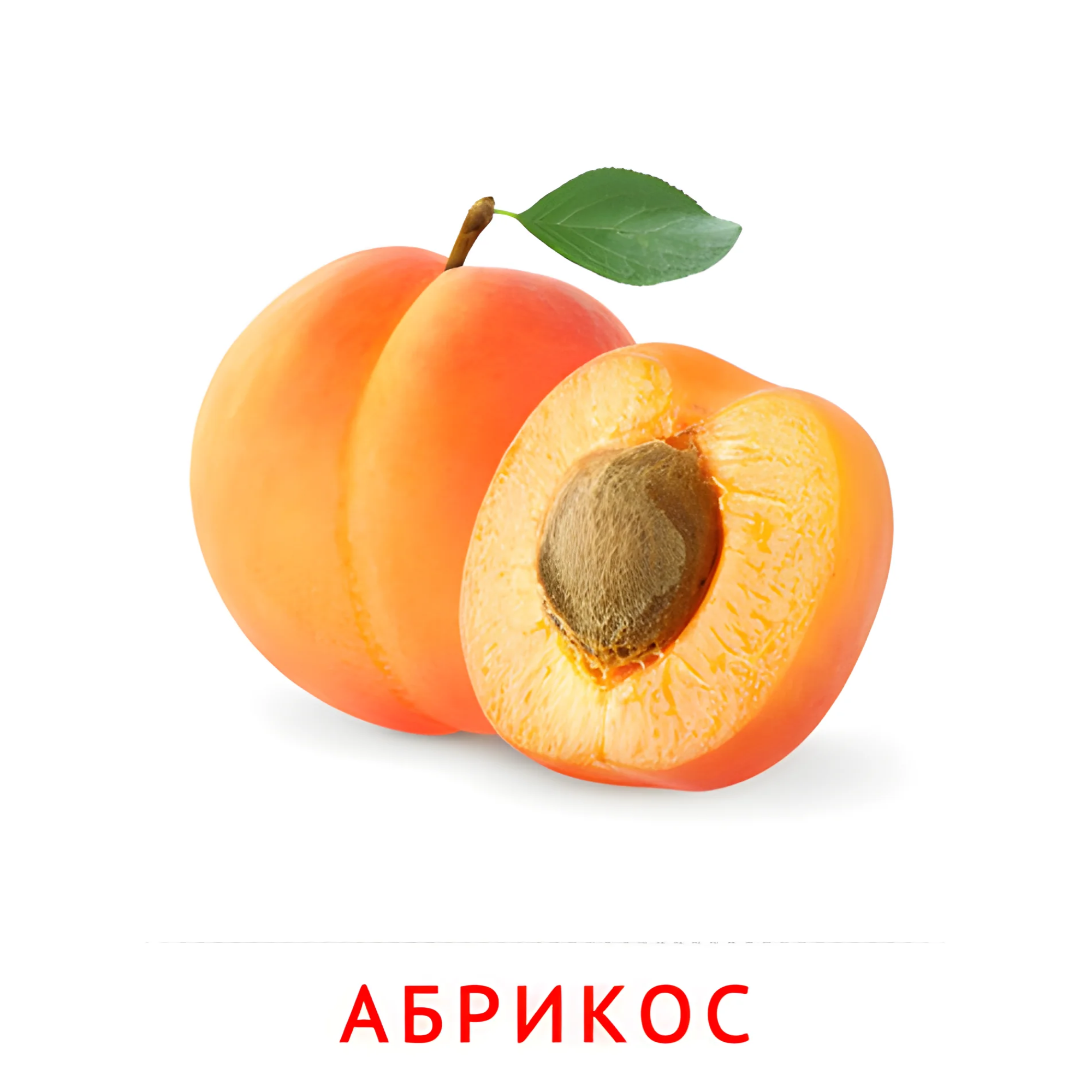 Абрикос №2270. Карточки Домана на русском языке. Фрукты и ягоды.
