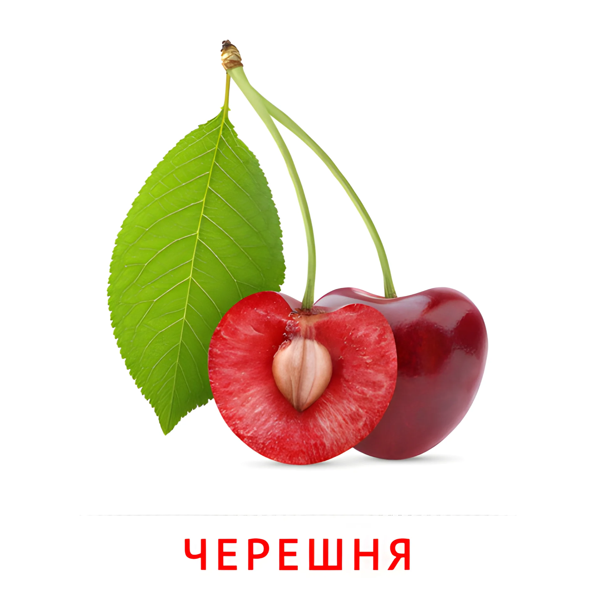 Черешня №2287. Карточки Домана на русском языке. Фрукты и ягоды.