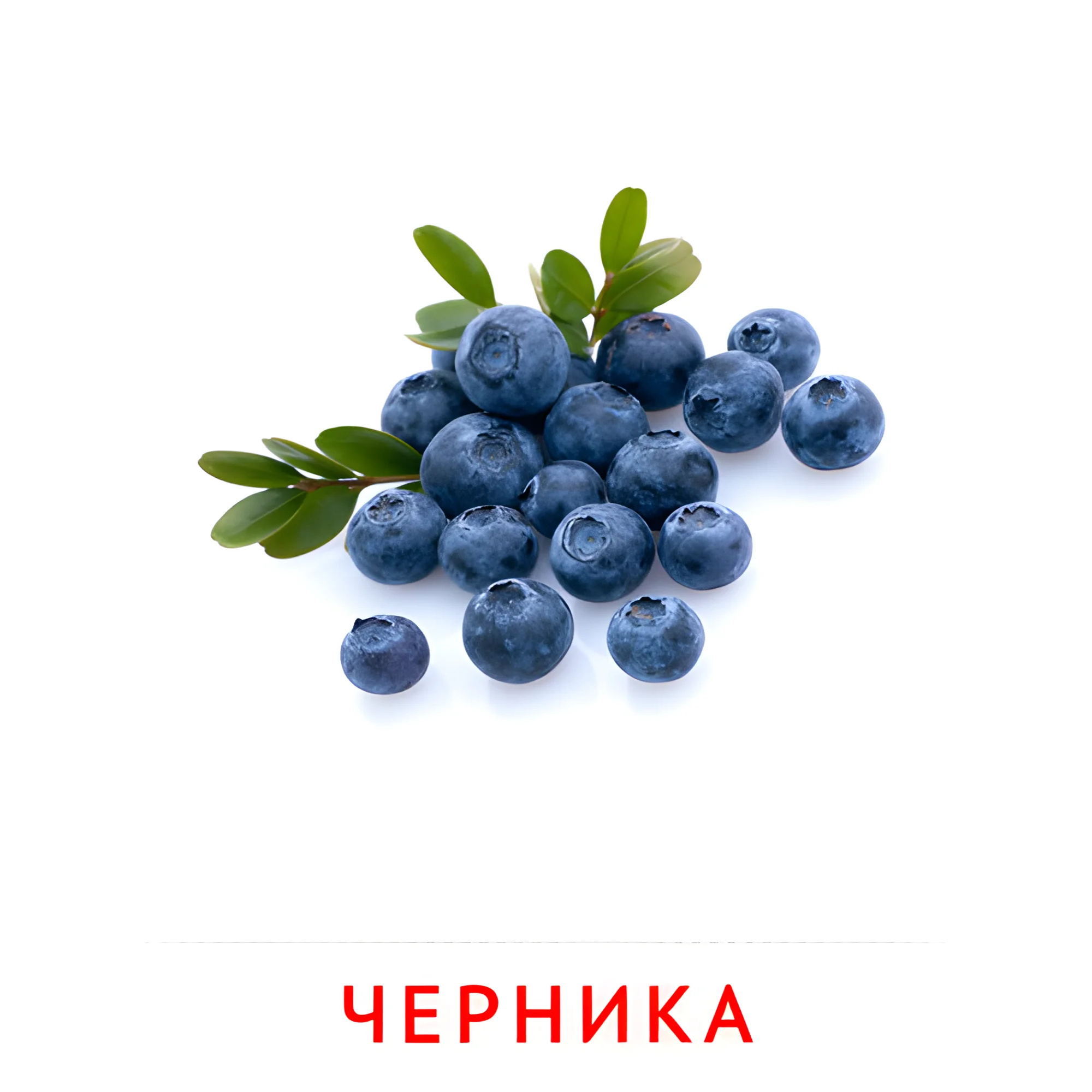 Черника №2280. Карточки Домана на русском языке. Фрукты и ягоды.