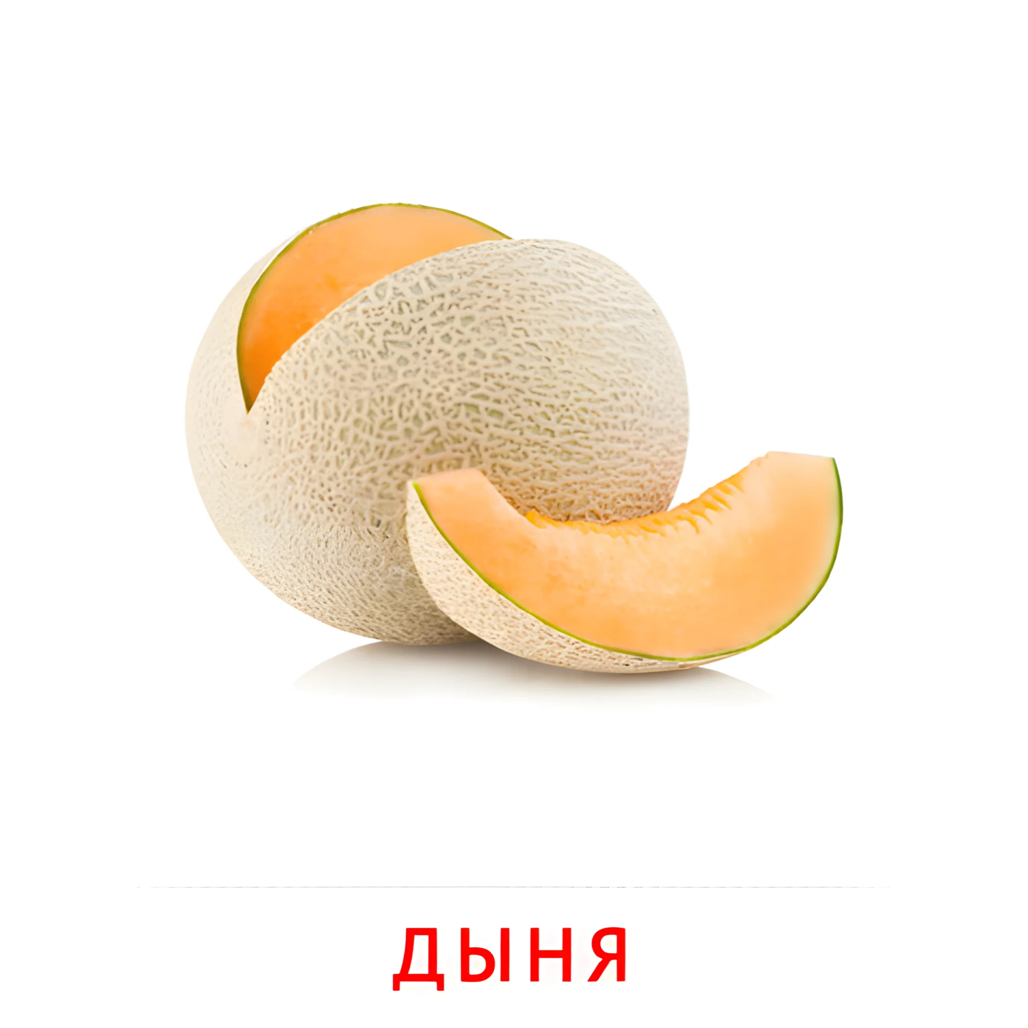 Дыня №2260. Карточки Домана на русском языке. Фрукты и ягоды.