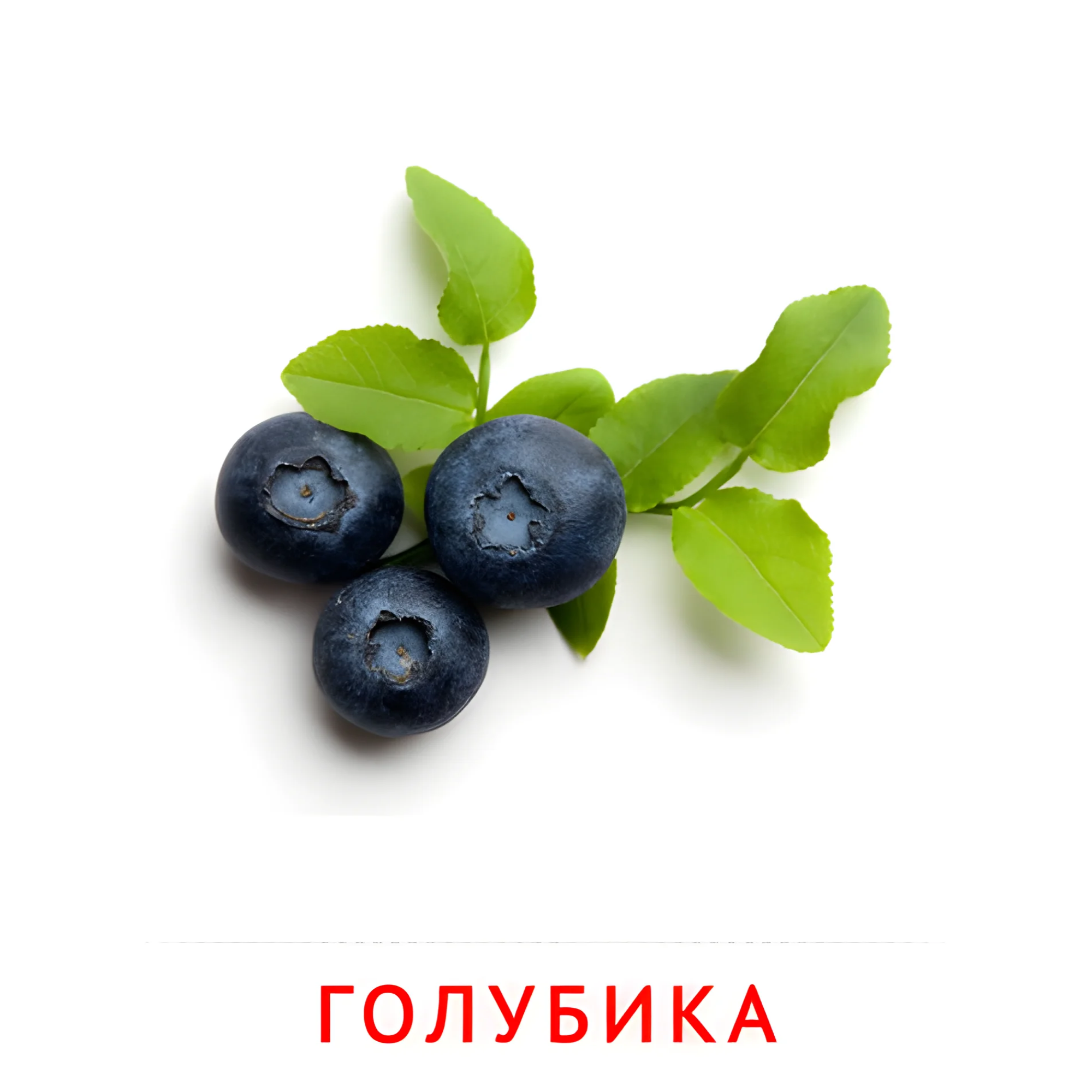 Голубика №2283. Карточки Домана на русском языке. Фрукты и ягоды.