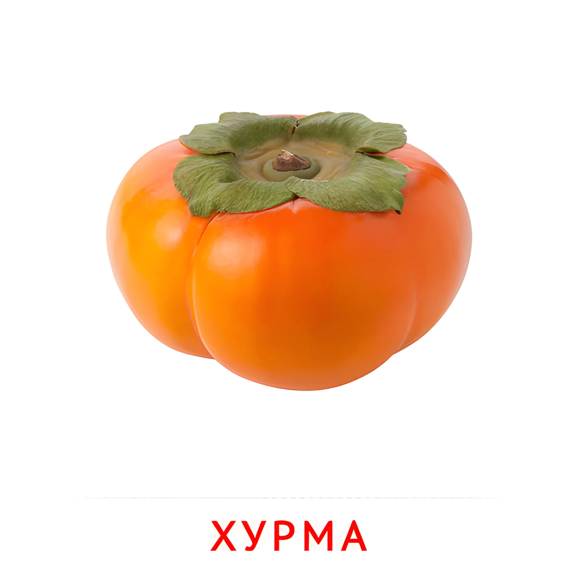Хурма №2266. Карточки Домана на русском языке. Фрукты и ягоды.