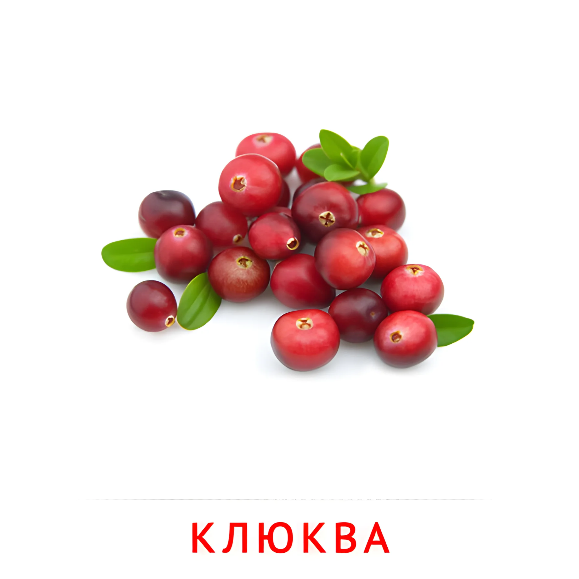 Клюква №2289. Карточки Домана на русском языке. Фрукты и ягоды.