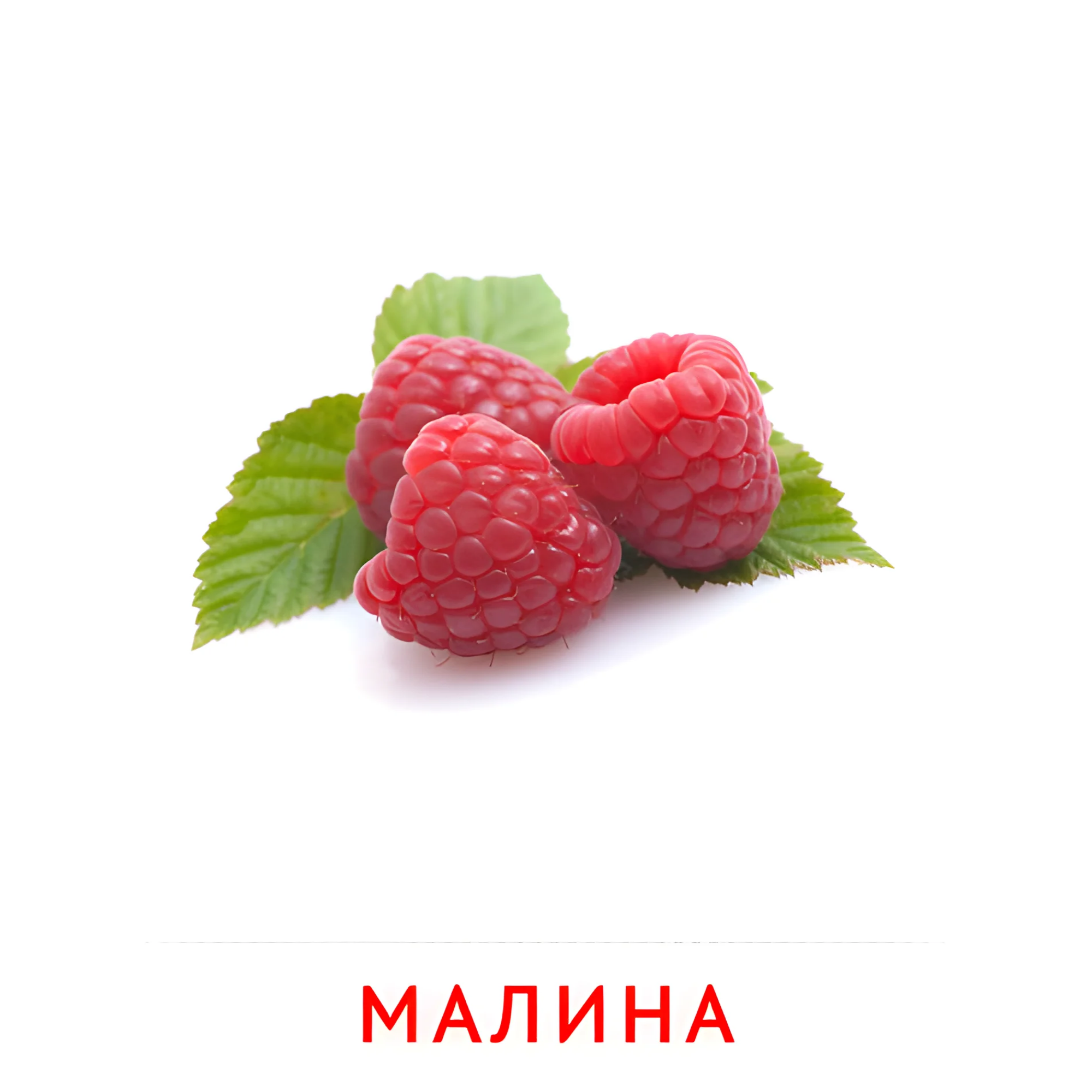 Малина №2263. Карточки Домана на русском языке. Фрукты и ягоды.