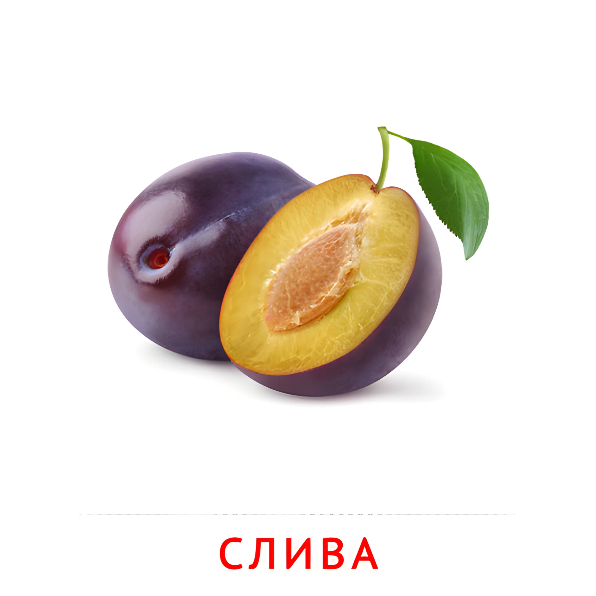 Слива №2273. Карточки Домана на русском языке. Фрукты и ягоды.