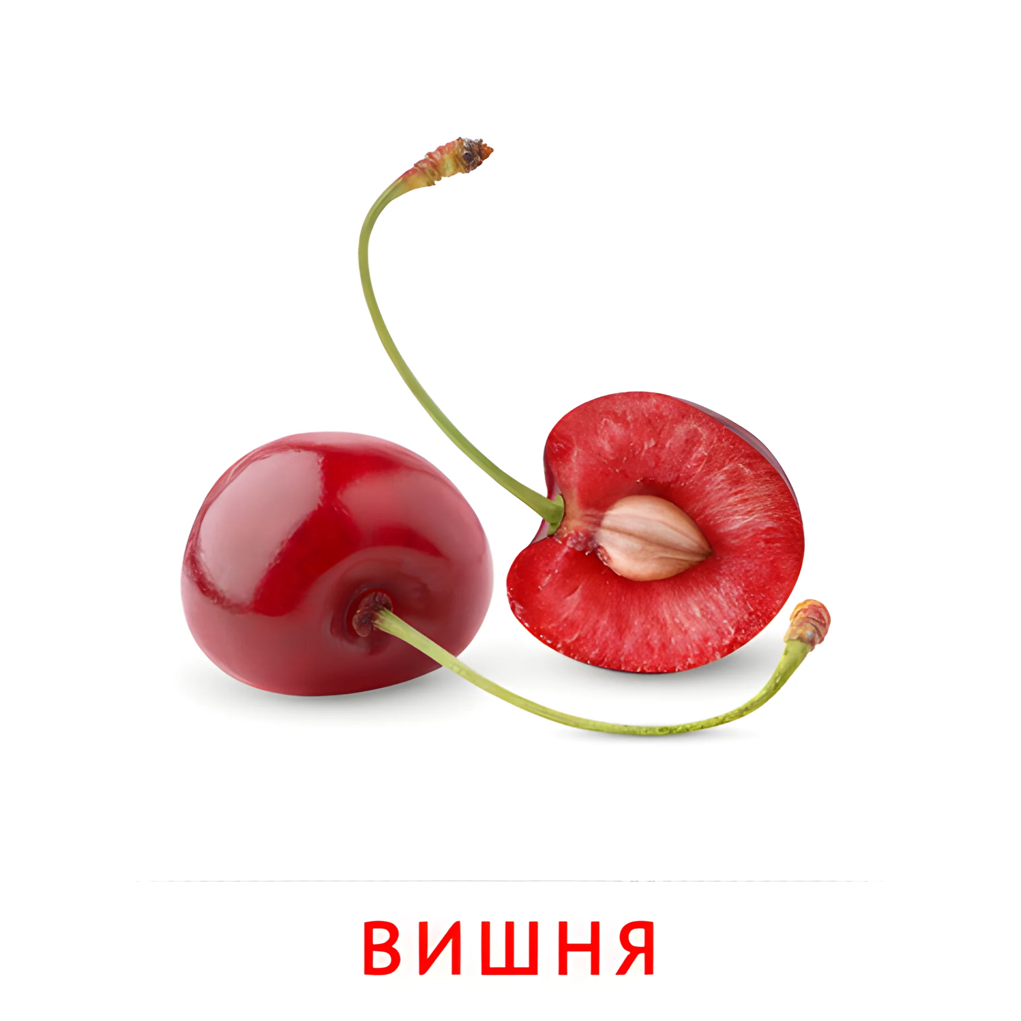 Вишня №2269. Карточки Домана на русском языке. Фрукты и ягоды.