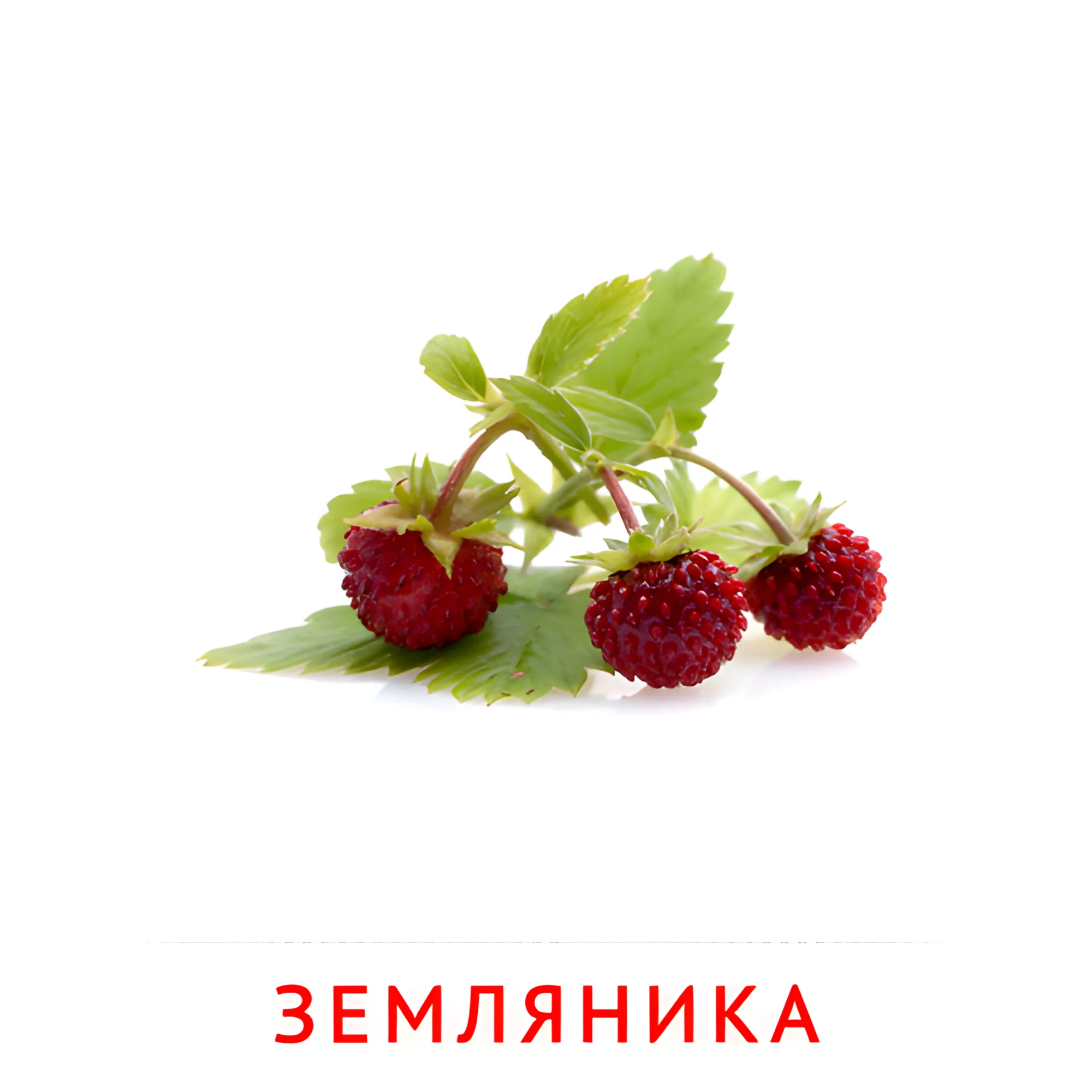 Земляника №2275. Карточки Домана на русском языке. Фрукты и ягоды.