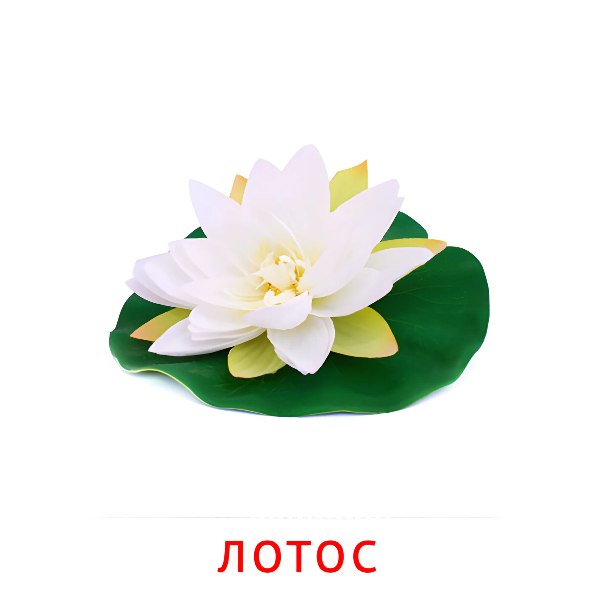 Лотос №2243. Карточки Домана на русском языке. Цветы.