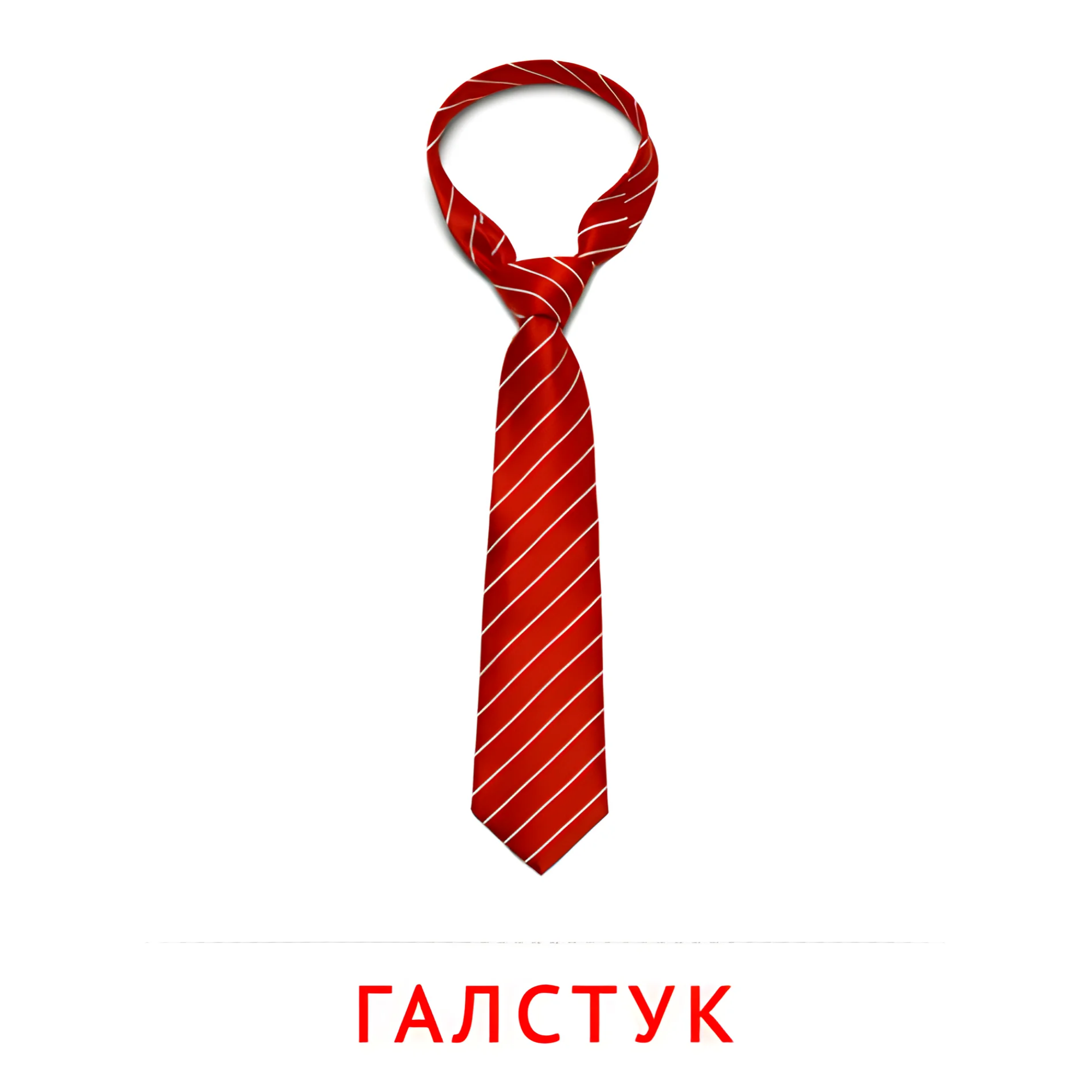 Галстук №2507. Карточки Домана на русском языке. Одежда и обувь.