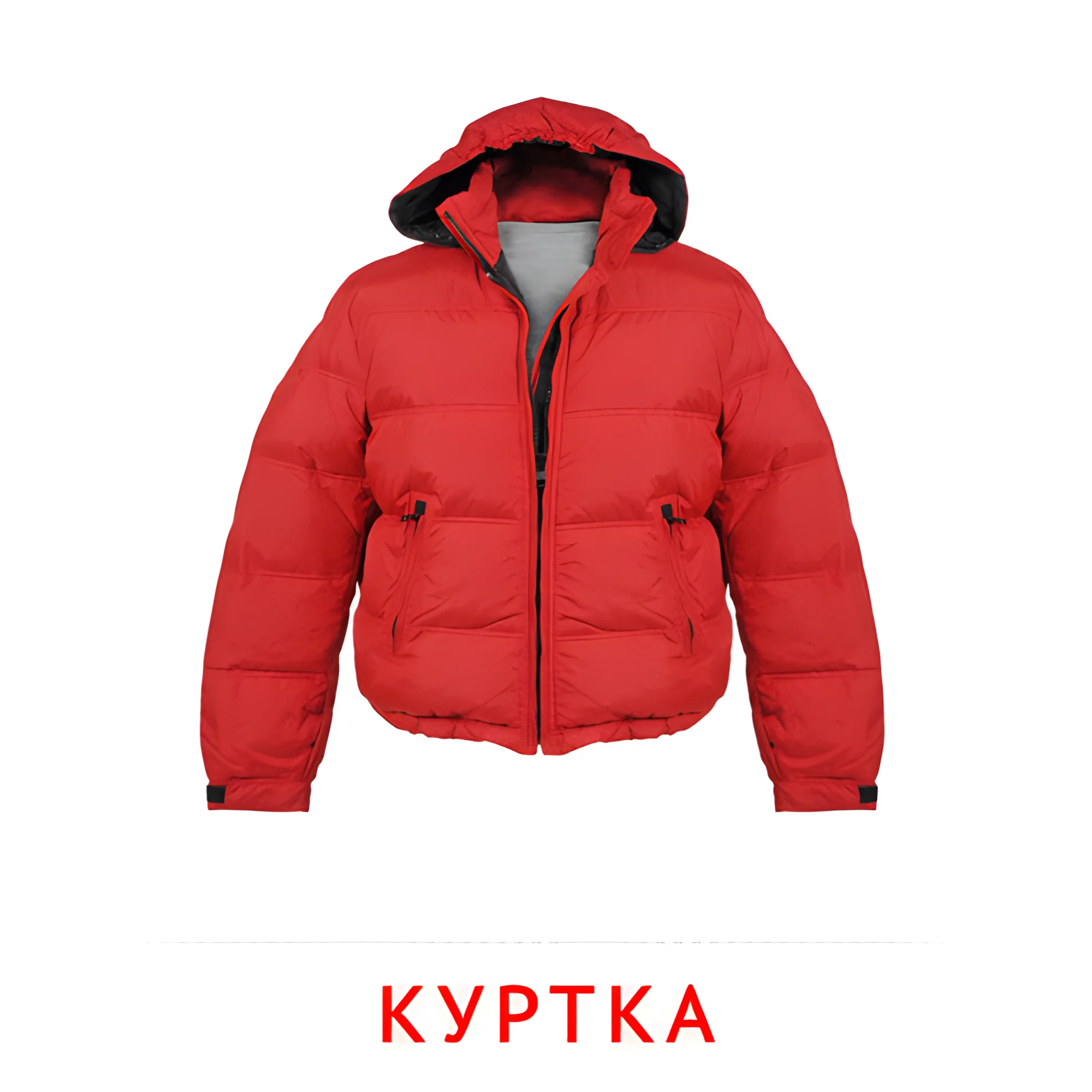 Куртка №2505. Карточки Домана на русском языке. Одежда и обувь.