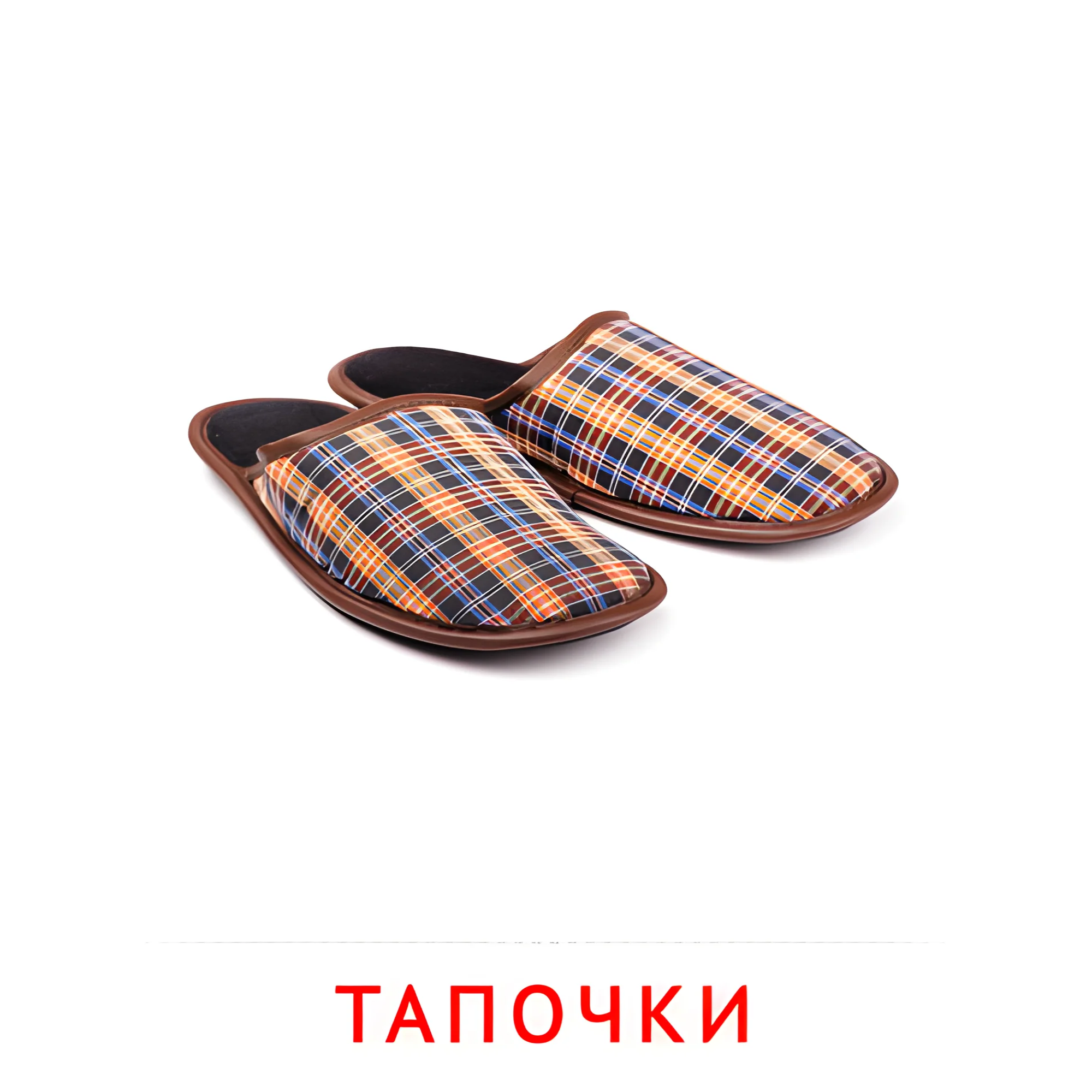 Тапочки №2499. Карточки Домана на русском языке. Одежда и обувь.