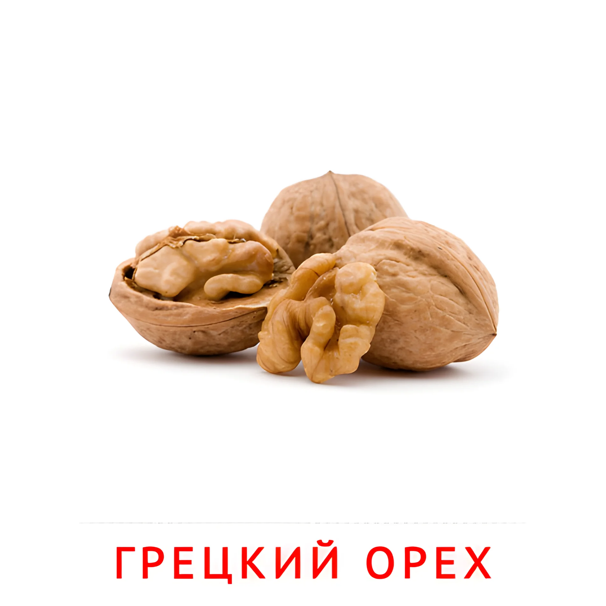 Грецкий орех №2329. Карточки Домана на русском языке. Орехи и сухофрукты.