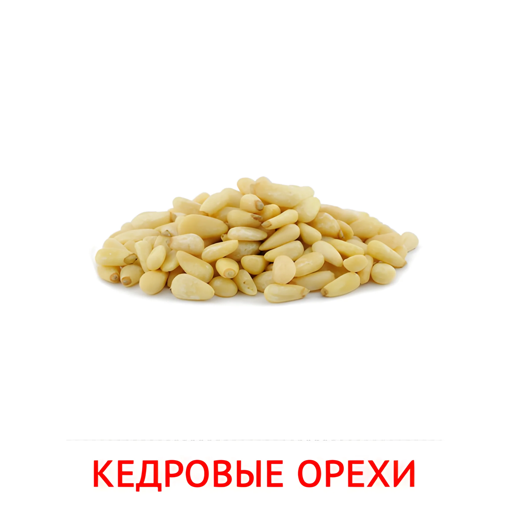 Кедровые орехи №2332. Карточки Домана на русском языке. Орехи и сухофрукты.