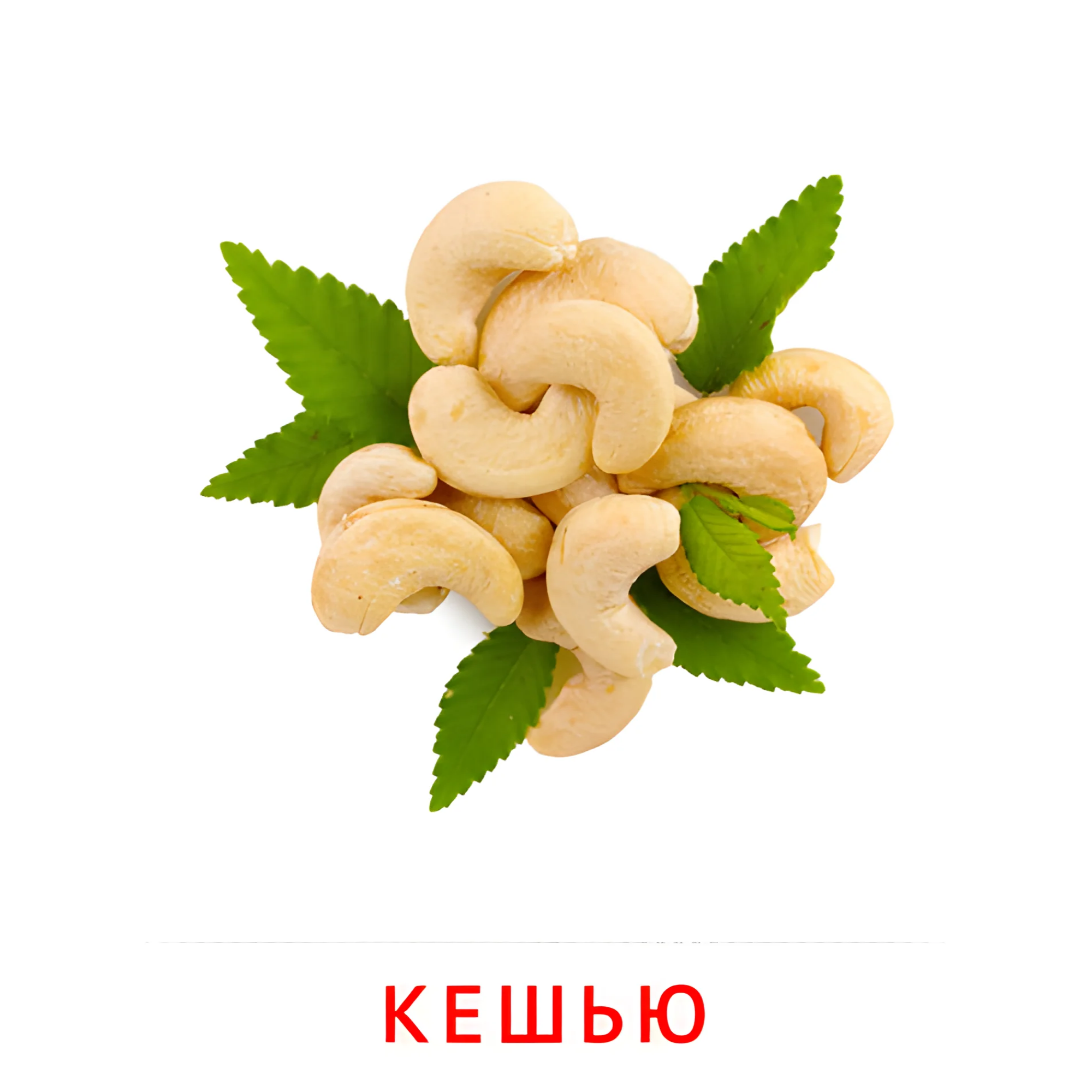 Кешью №2334. Карточки Домана на русском языке. Орехи и сухофрукты.