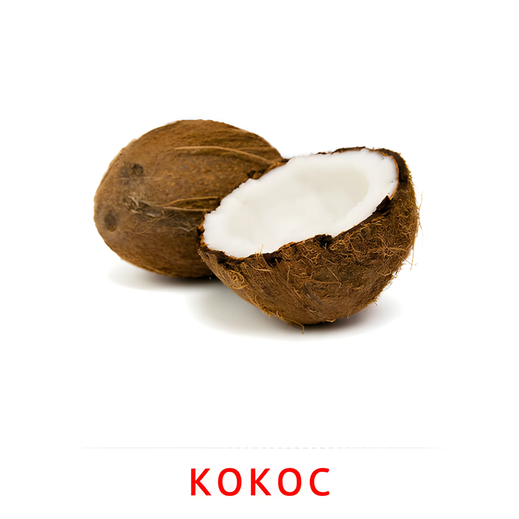 Кокос №2333. Карточки Домана на русском языке. Орехи и сухофрукты.