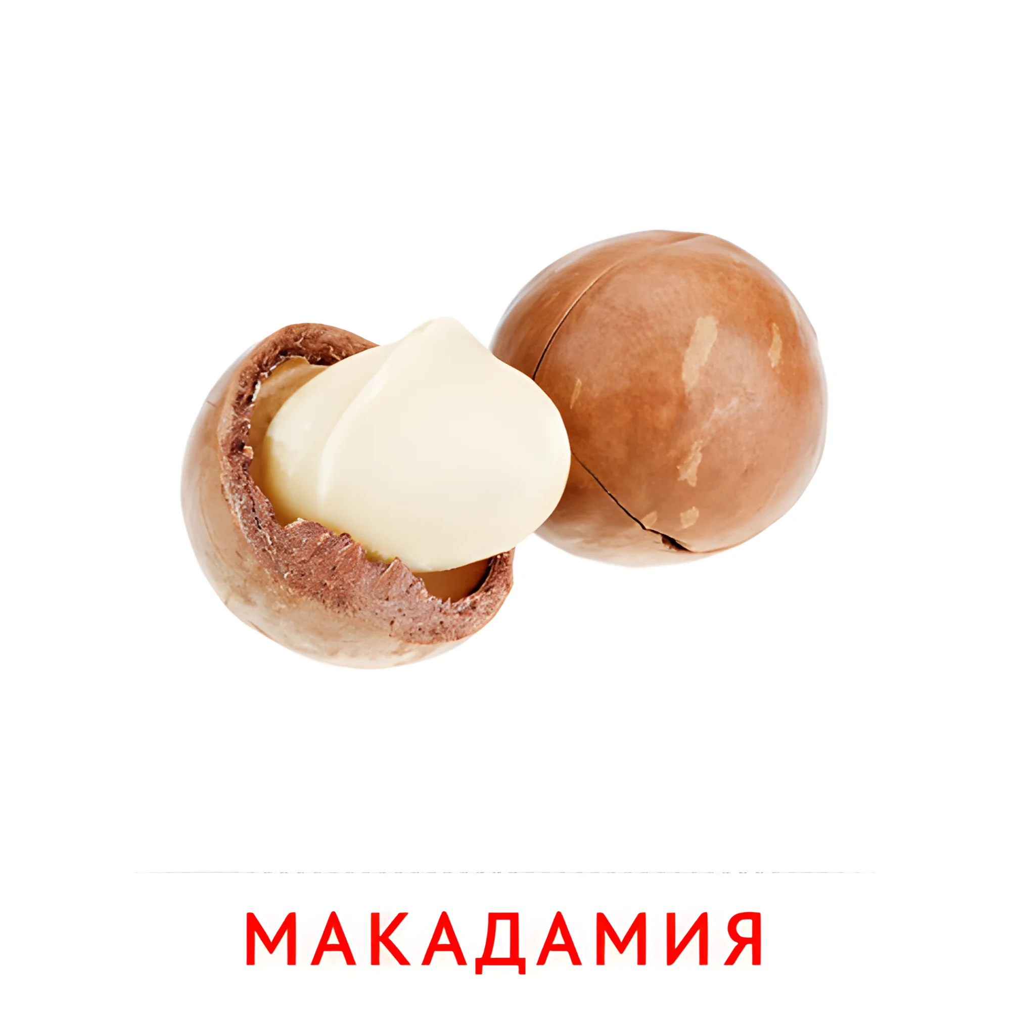 Макадамия №2336. Карточки Домана на русском языке. Орехи и сухофрукты.