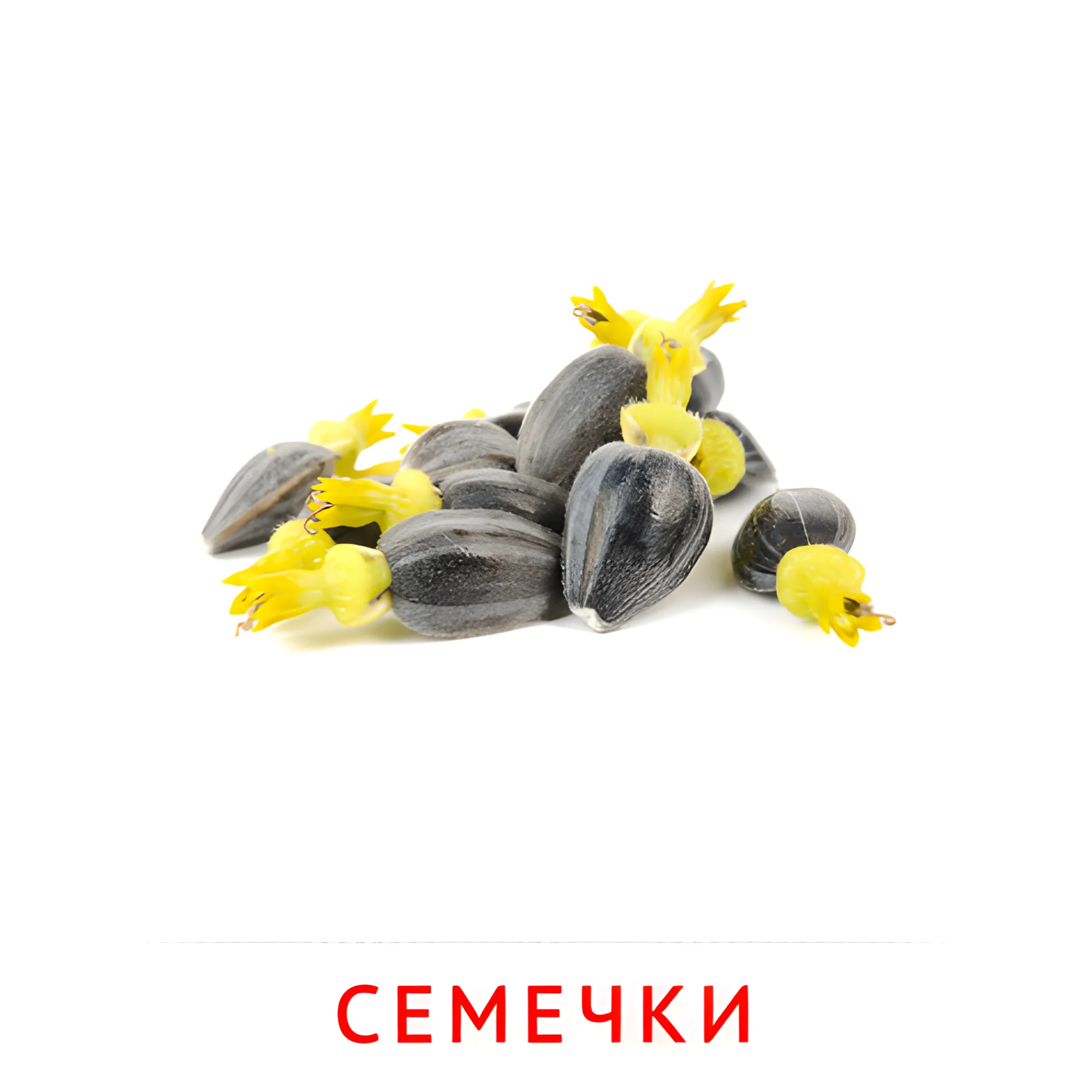 Семечки №2337. Карточки Домана на русском языке. Орехи и сухофрукты.