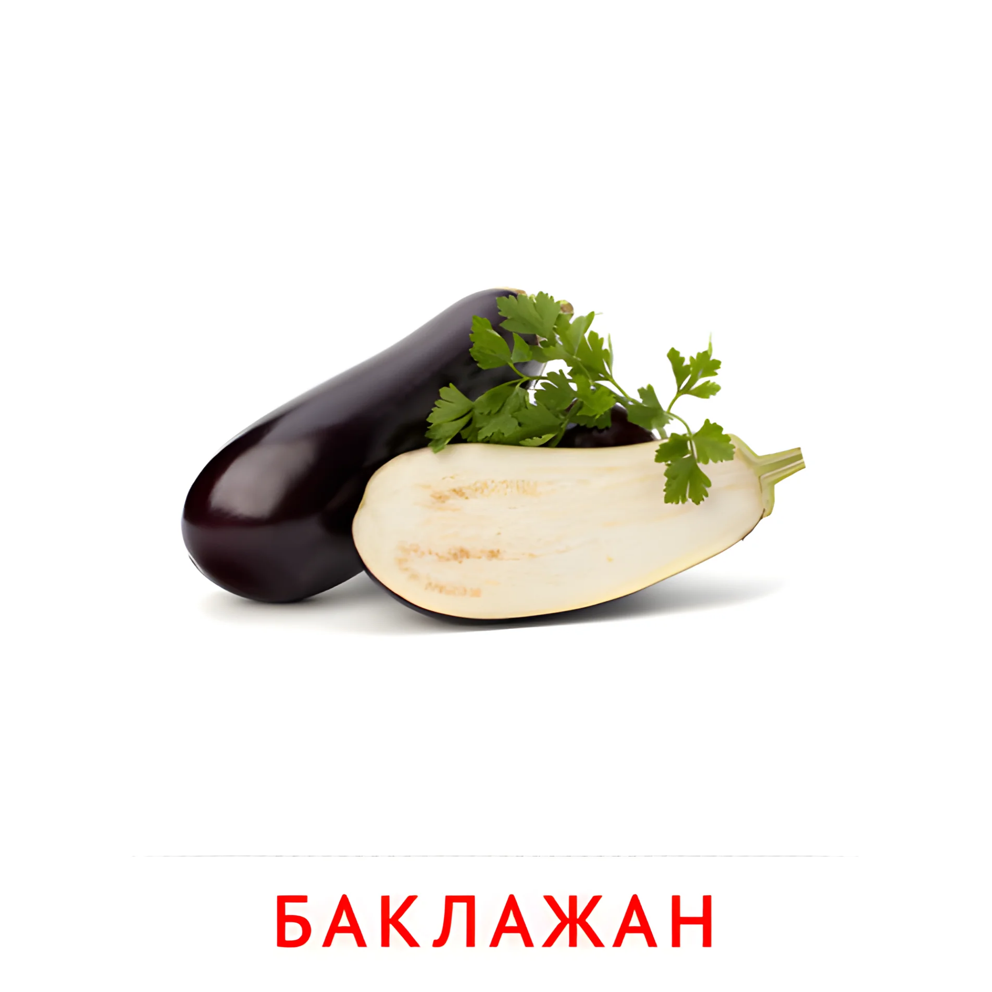 Баклажан №2298. Карточки Домана на русском языке. Овощи и травы.