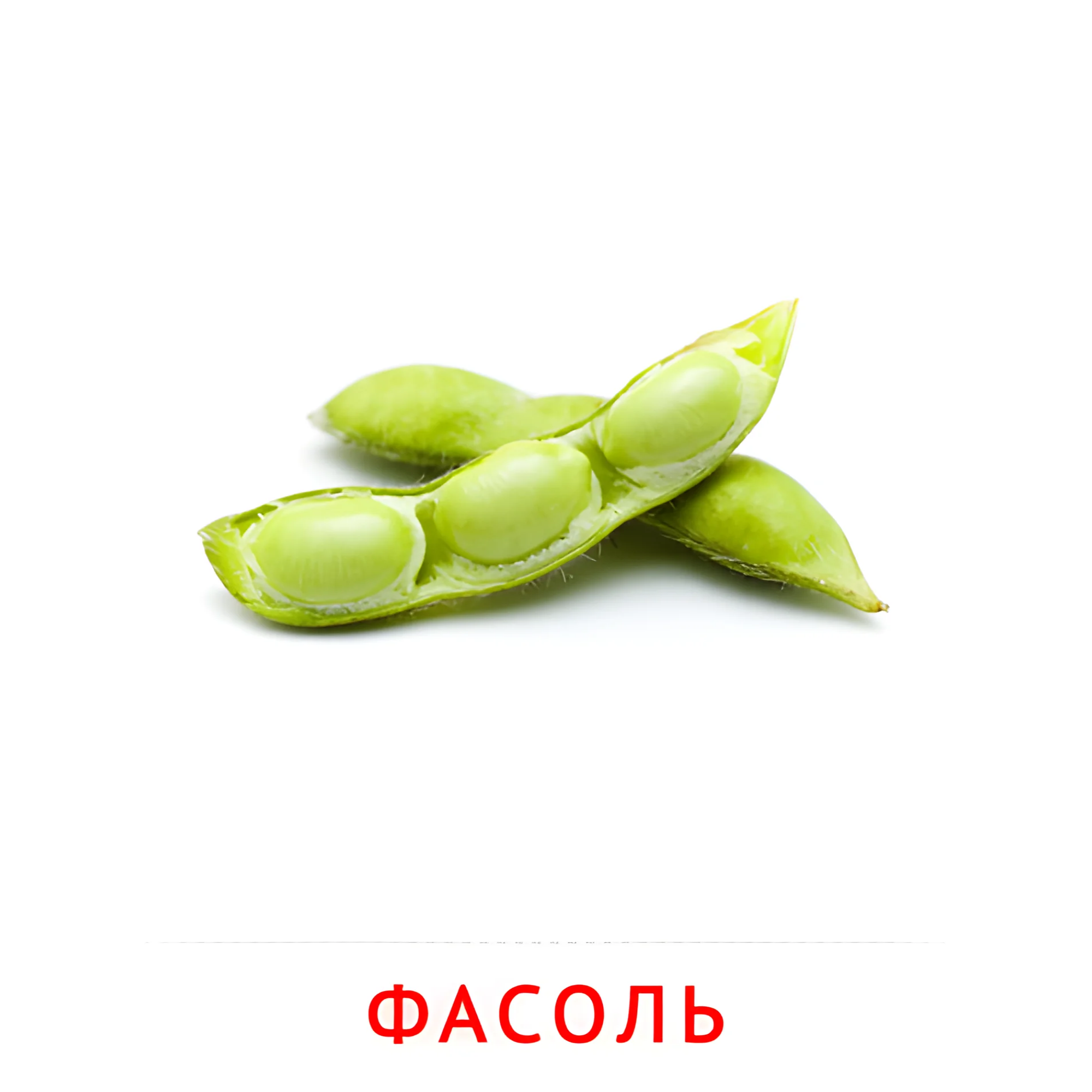 Фасоль №2321. Карточки Домана на русском языке. Овощи и травы.
