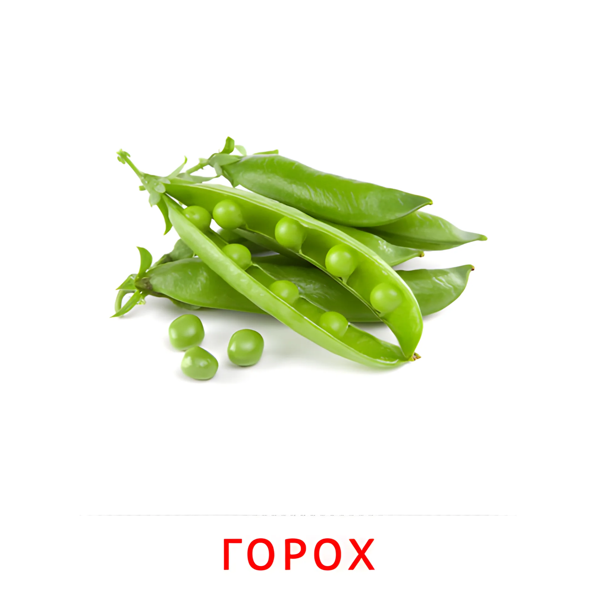 Горох №2299. Карточки Домана на русском языке. Овощи и травы.