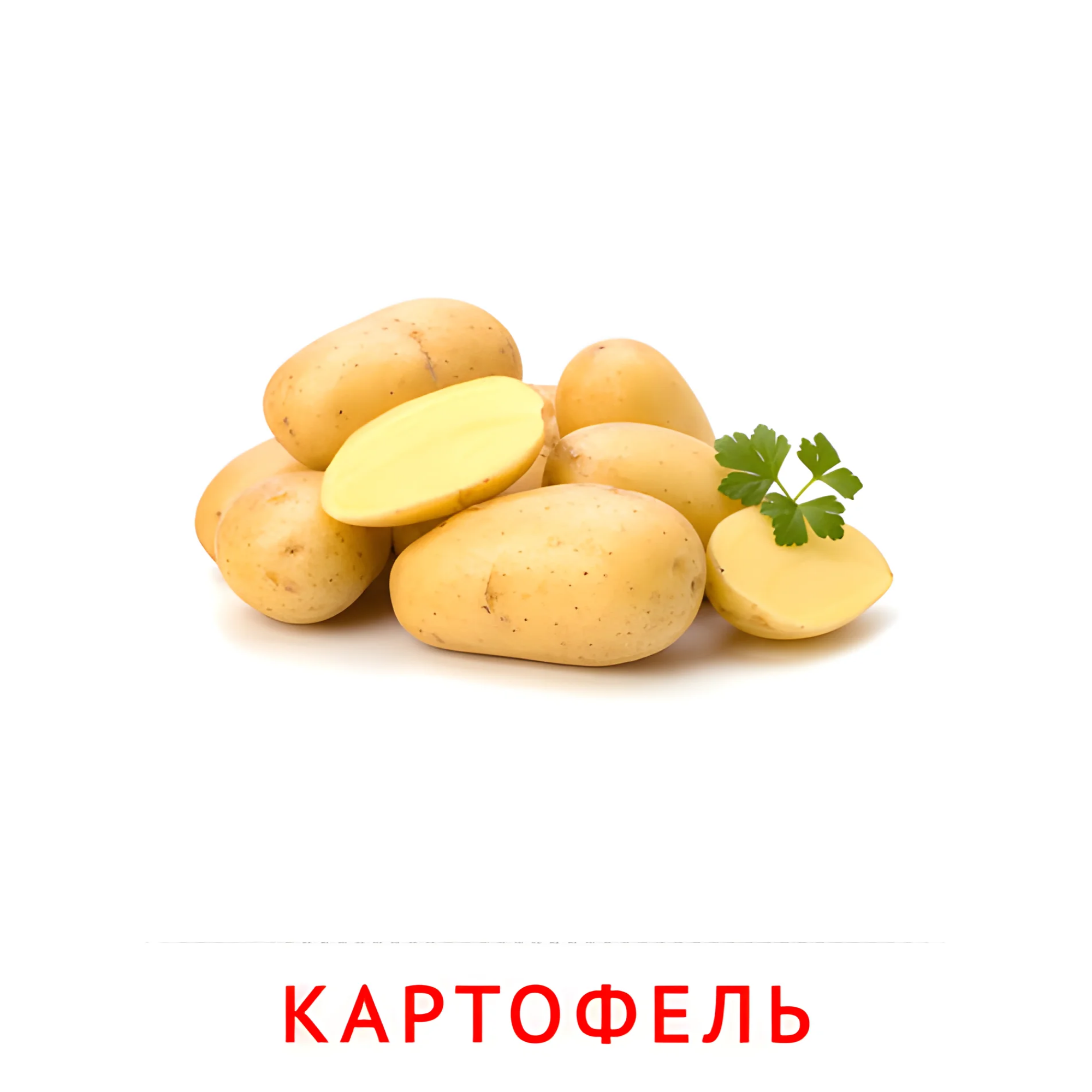 Картофель №2294. Карточки Домана на русском языке. Овощи и травы.