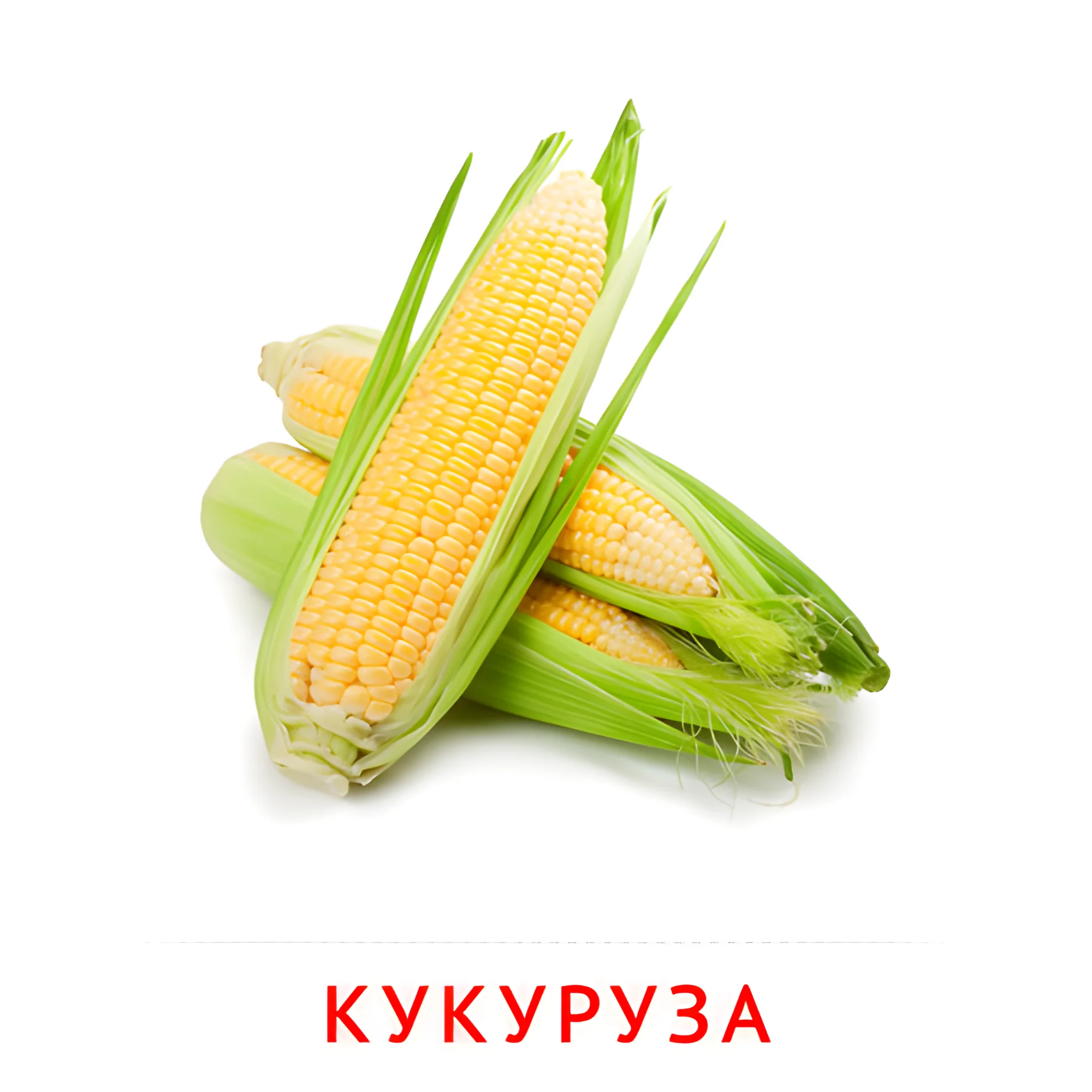 Кукуруза №2300. Карточки Домана на русском языке. Овощи и травы.