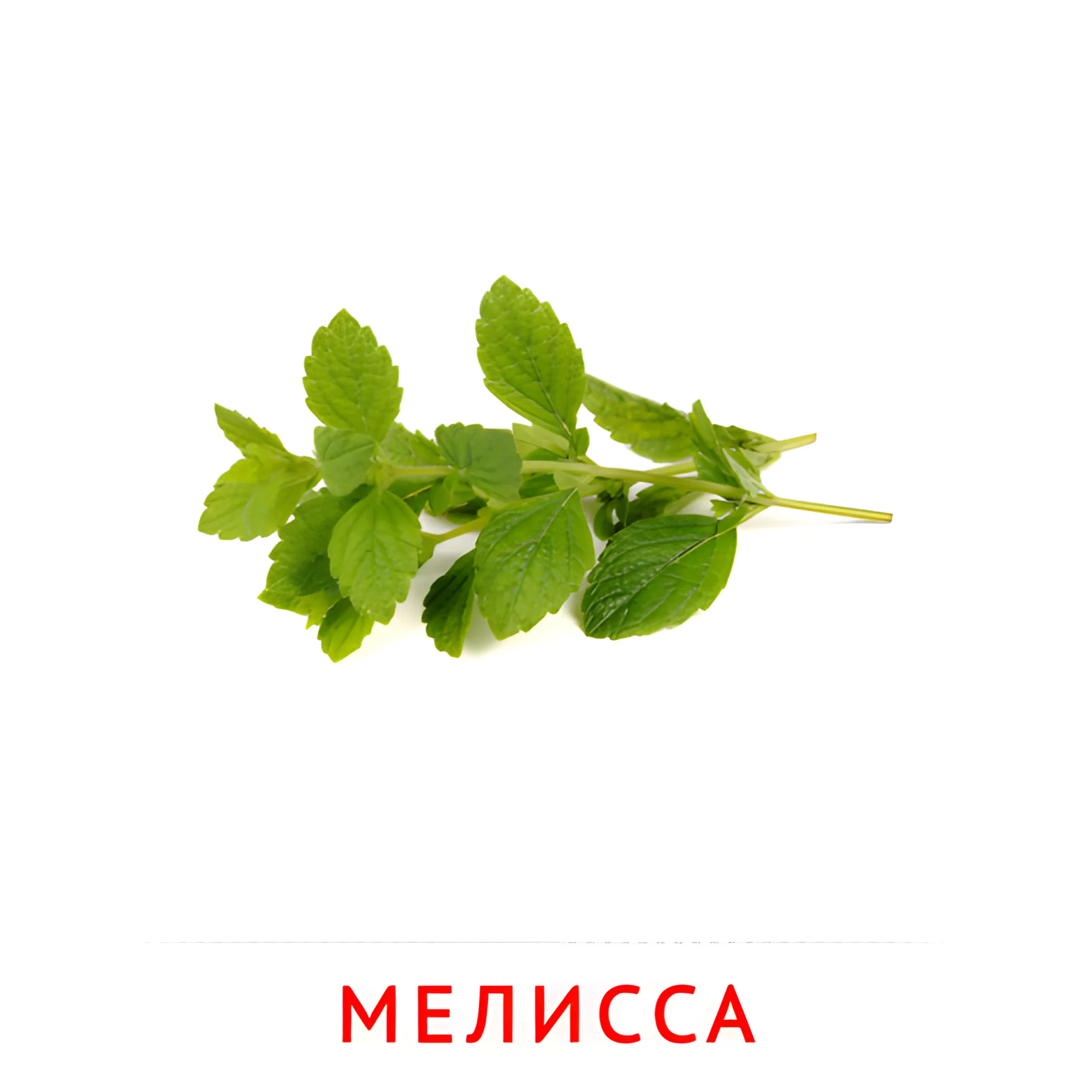 Мелисса №2312. Карточки Домана на русском языке. Овощи и травы.