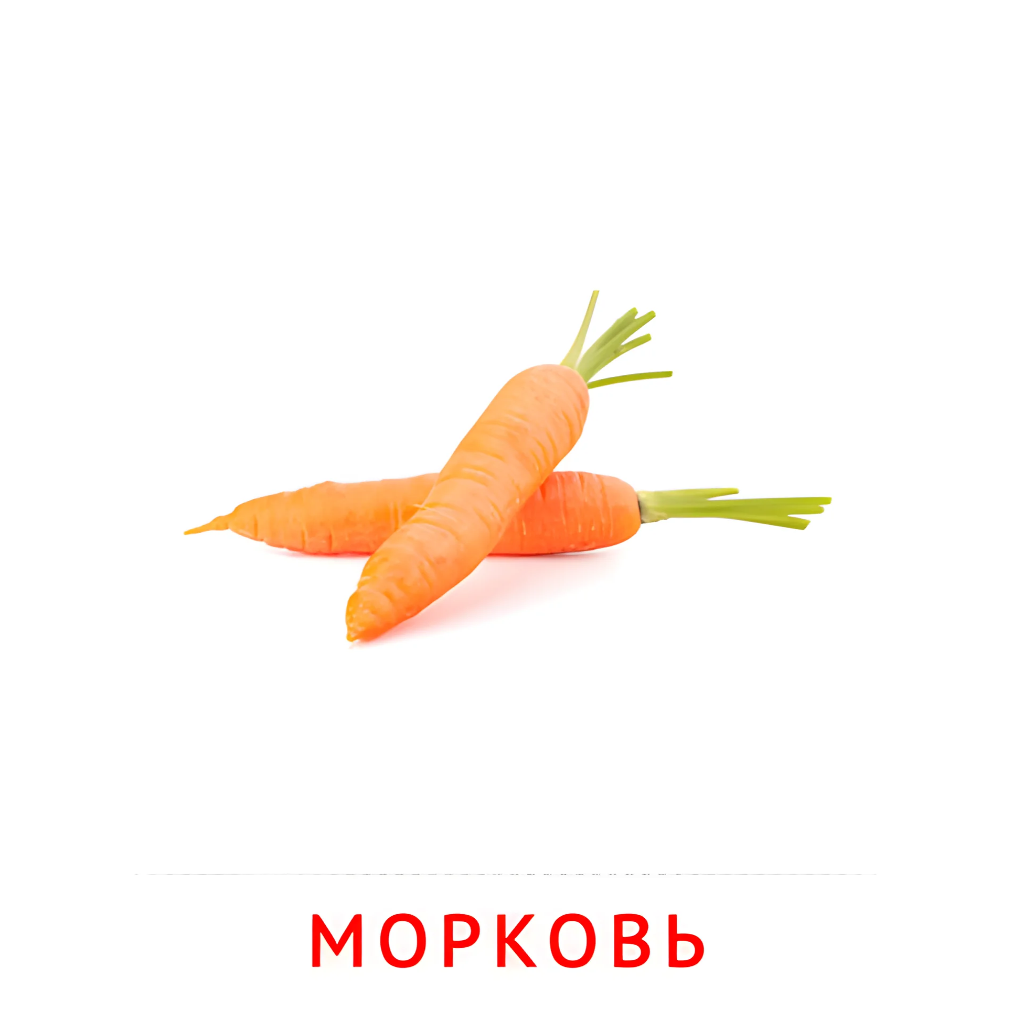 Морковь №2305. Карточки Домана на русском языке. Овощи и травы.