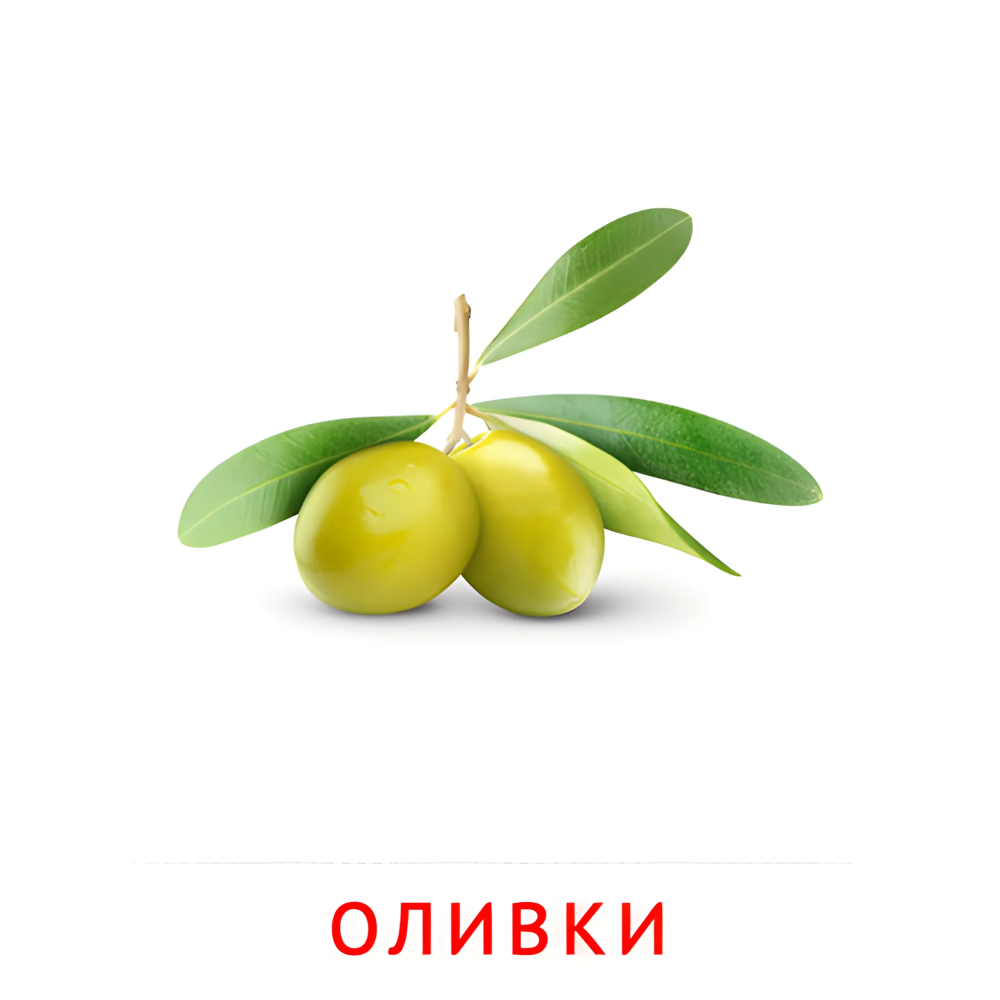 Оливки №2314. Карточки Домана на русском языке. Овощи и травы.