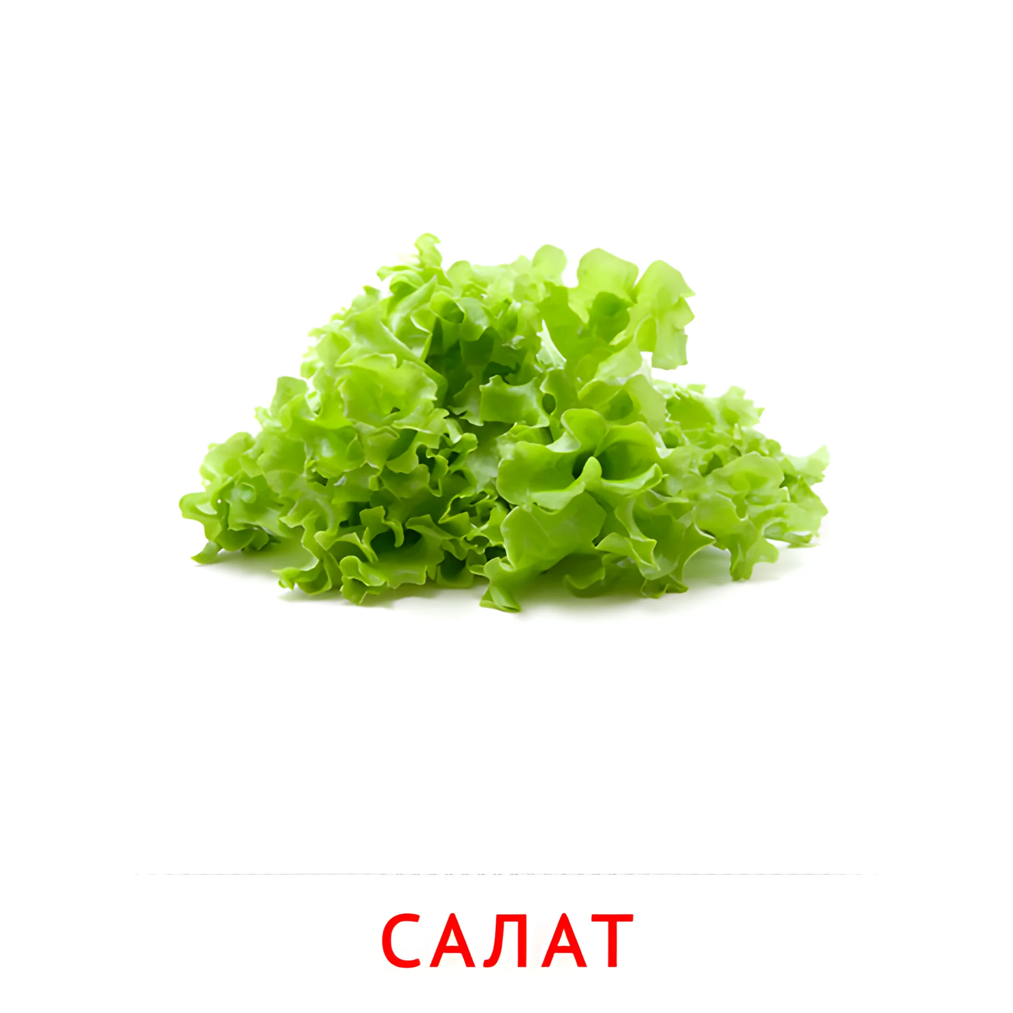 Салат №2317. Карточки Домана на русском языке. Овощи и травы.