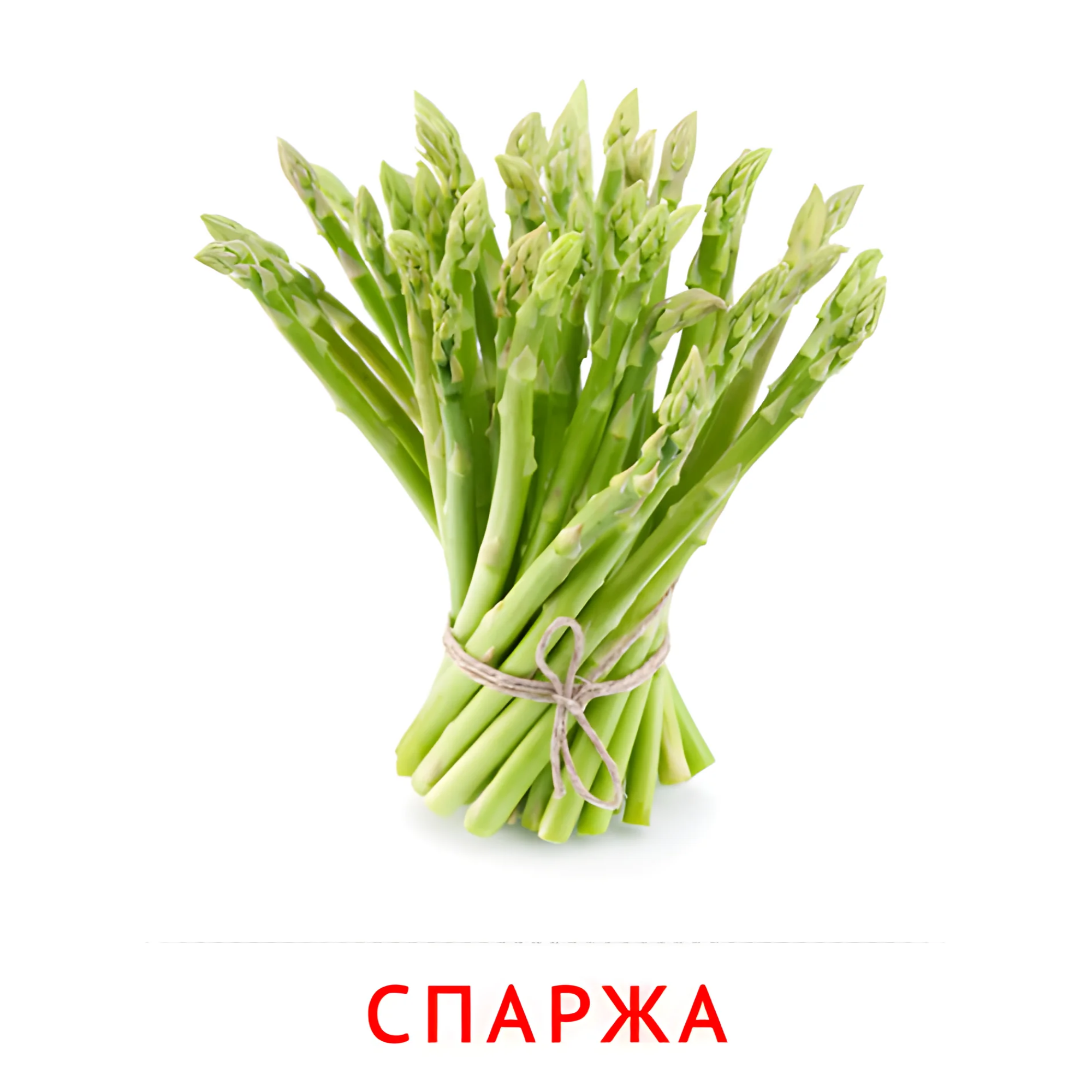 Спаржа №2318. Карточки Домана на русском языке. Овощи и травы.