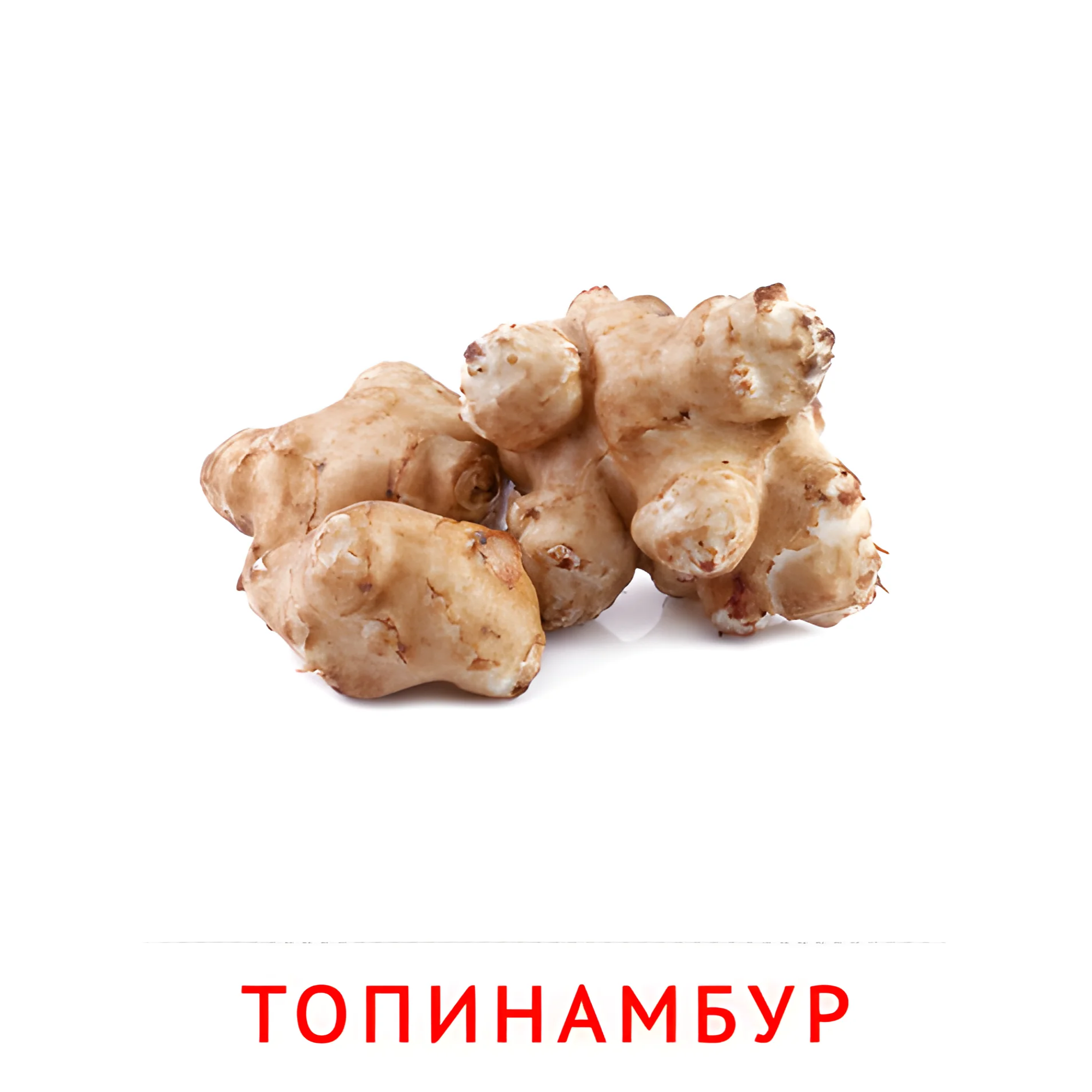 Топинамбур №2320. Карточки Домана на русском языке. Овощи и травы.