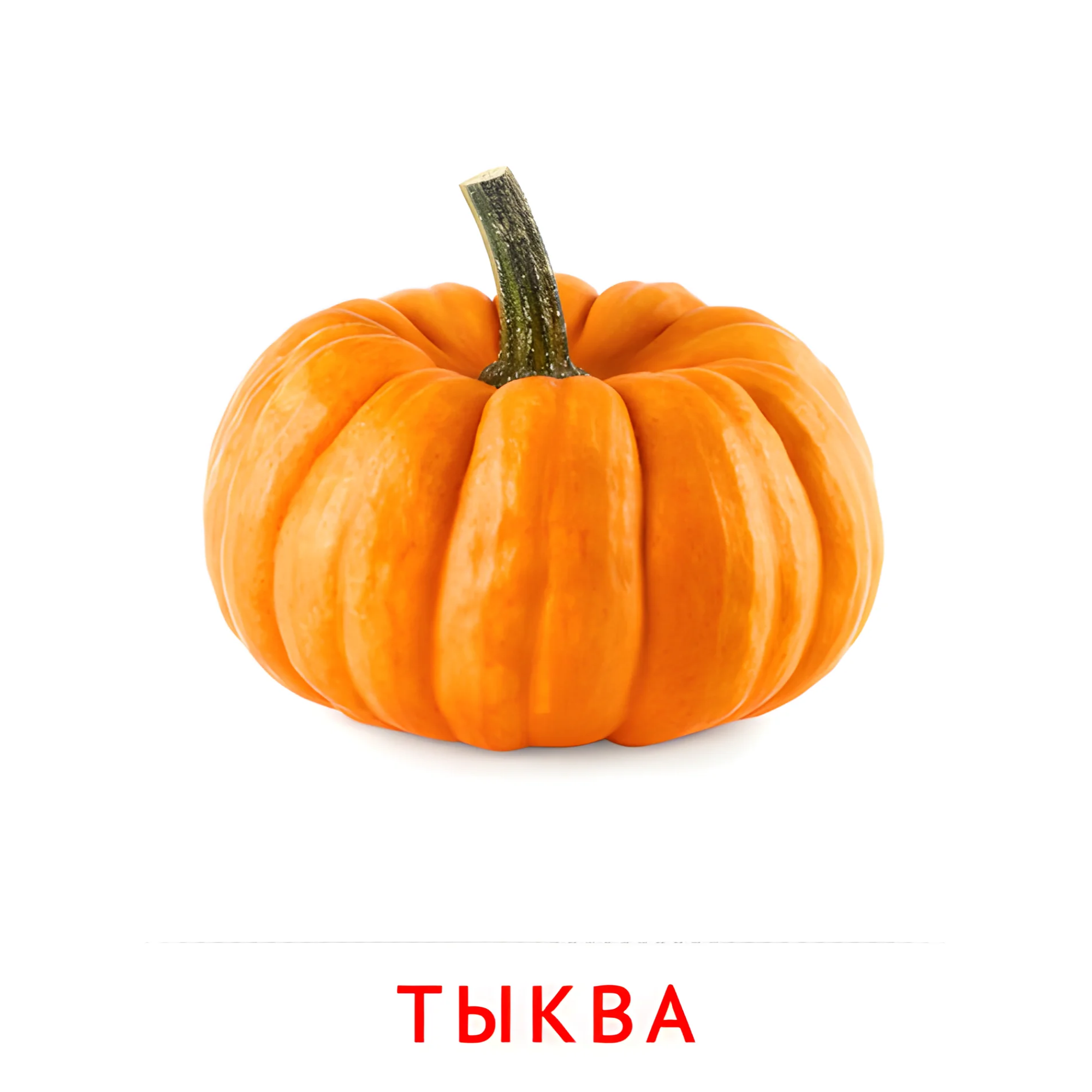 Тыква №2307. Карточки Домана на русском языке. Овощи и травы.
