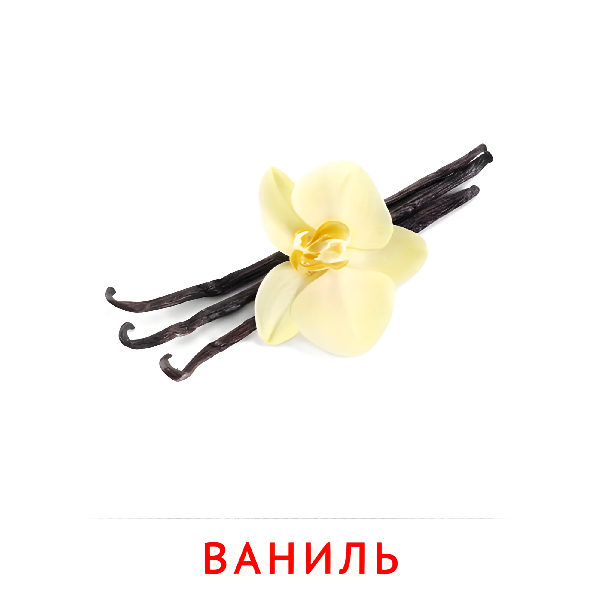 Ваниль №2309. Карточки Домана на русском языке. Овощи и травы.