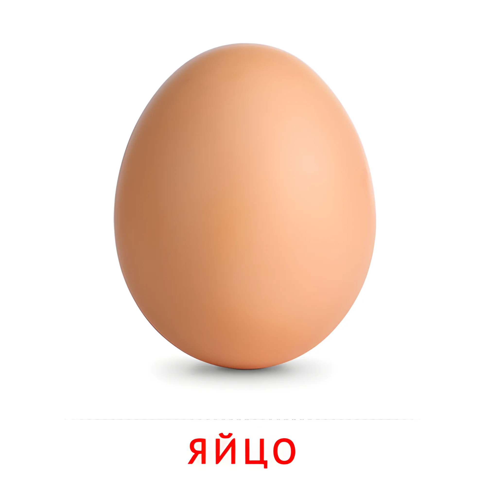 Яйцо №2346. Карточки Домана на русском языке. Продукты питания.