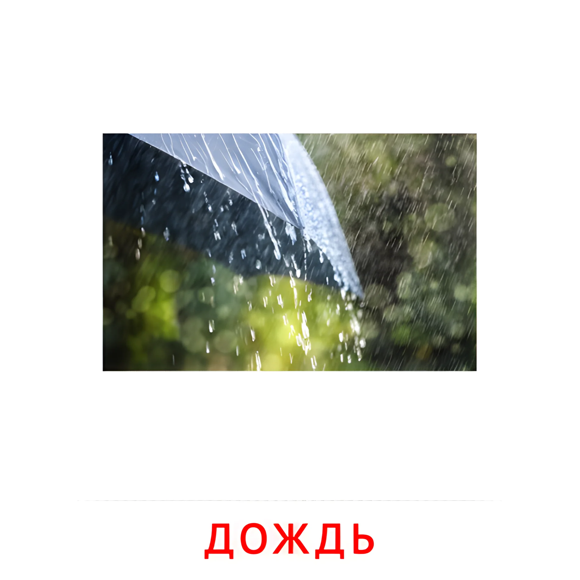 Дождь №2202. Карточки Домана на русском языке. Явления природы.