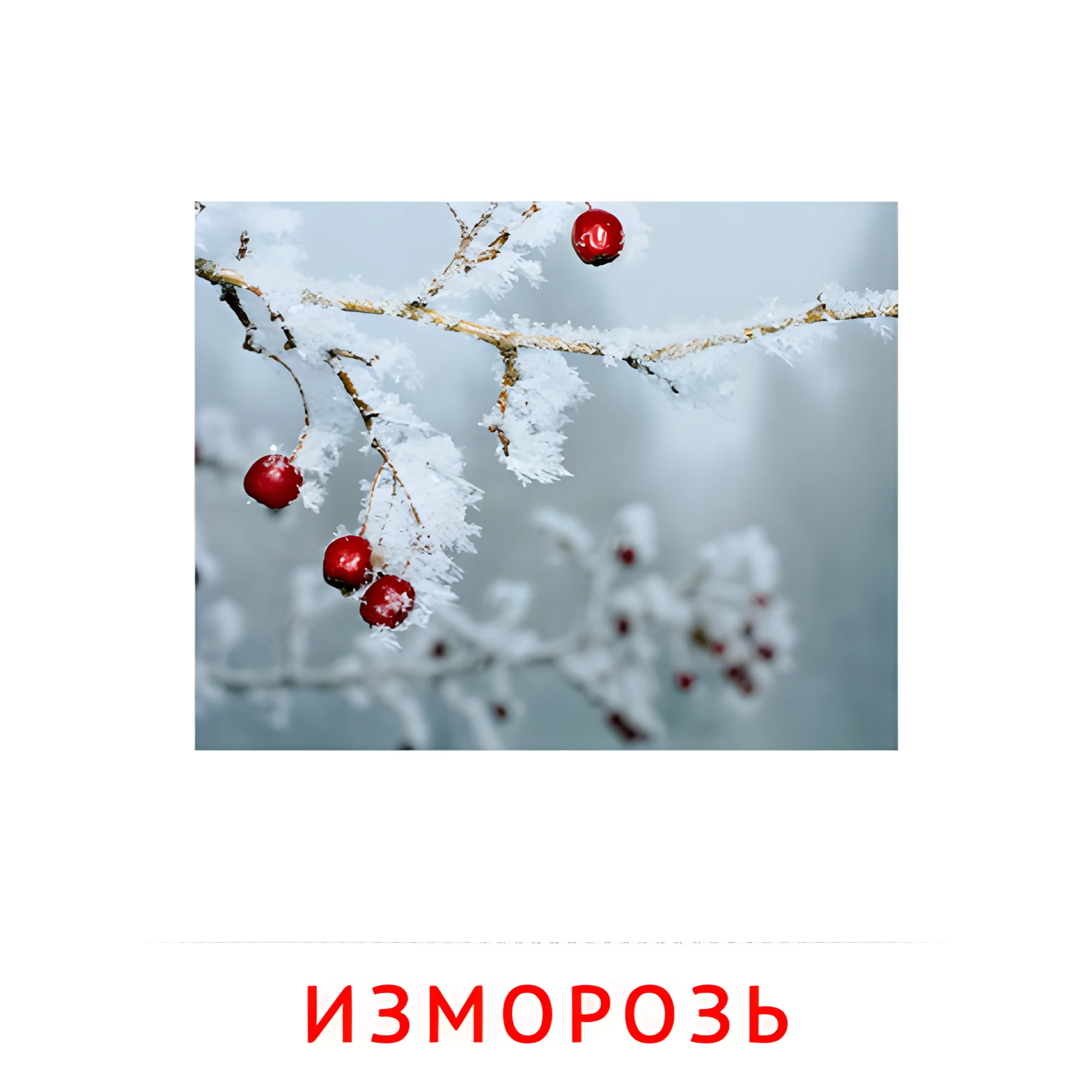 Изморозь №2193. Карточки Домана на русском языке. Явления природы.